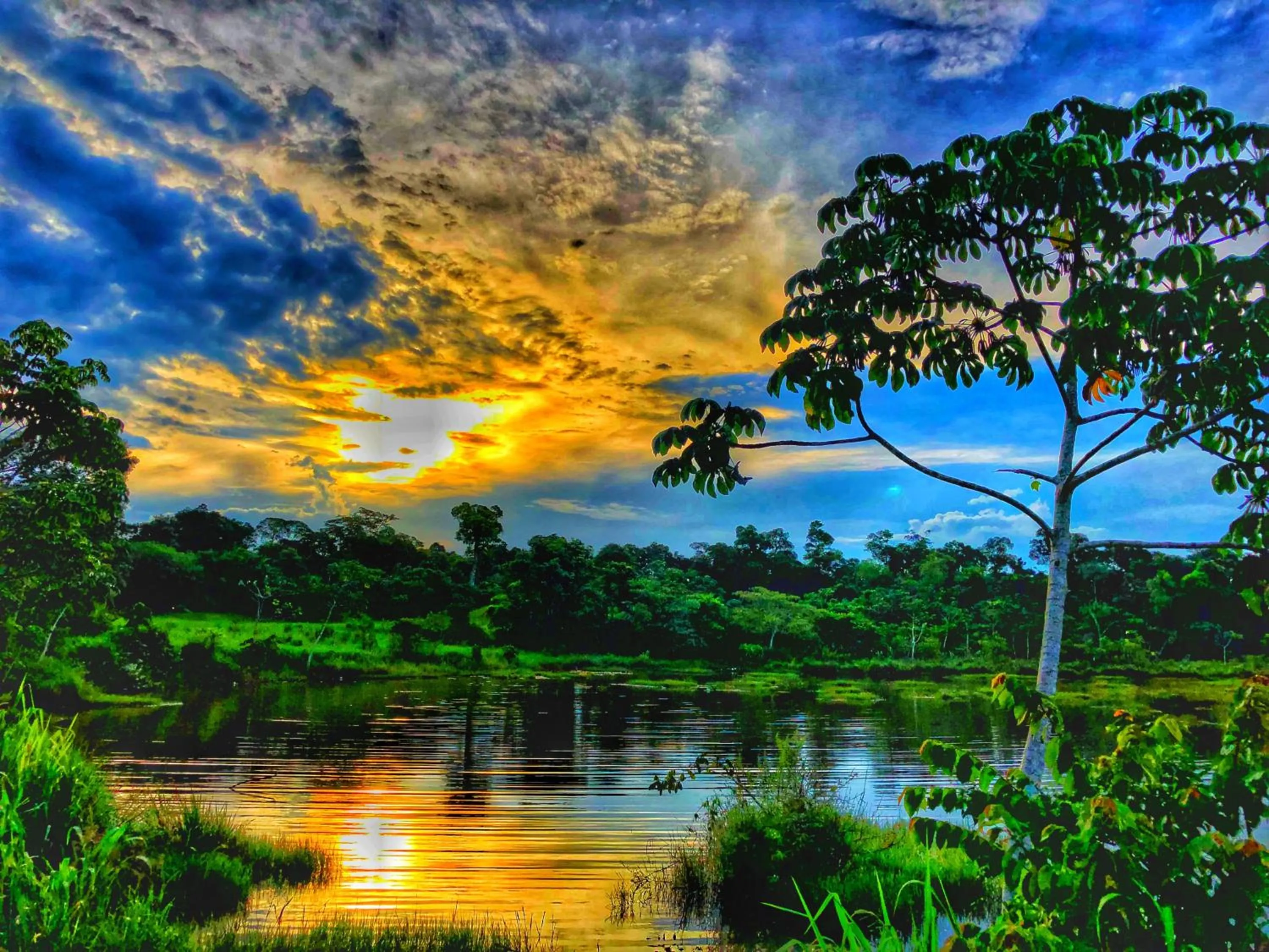 Natural landscape in Hotel Carmen