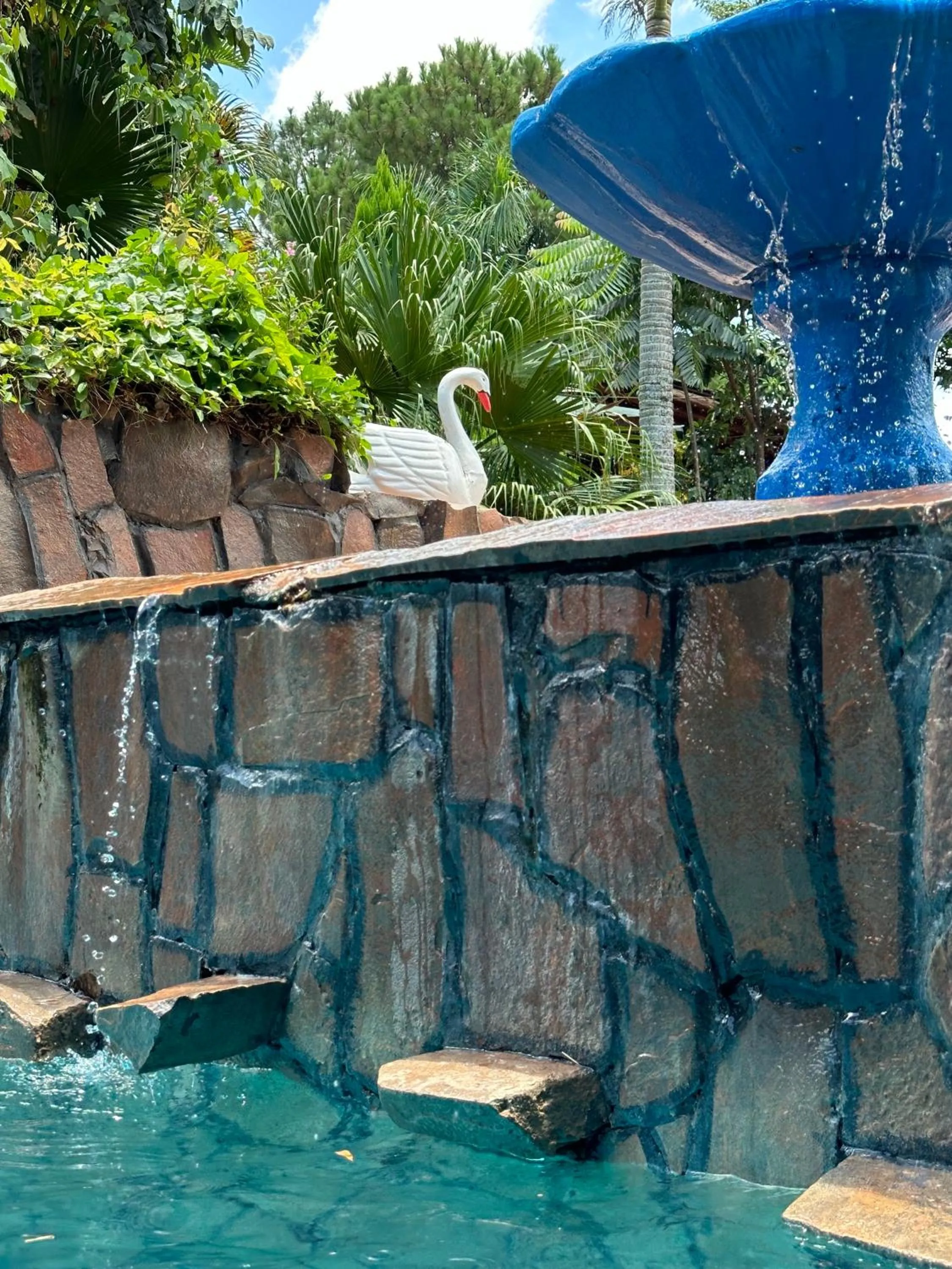 Swimming pool in Hotel Carmen
