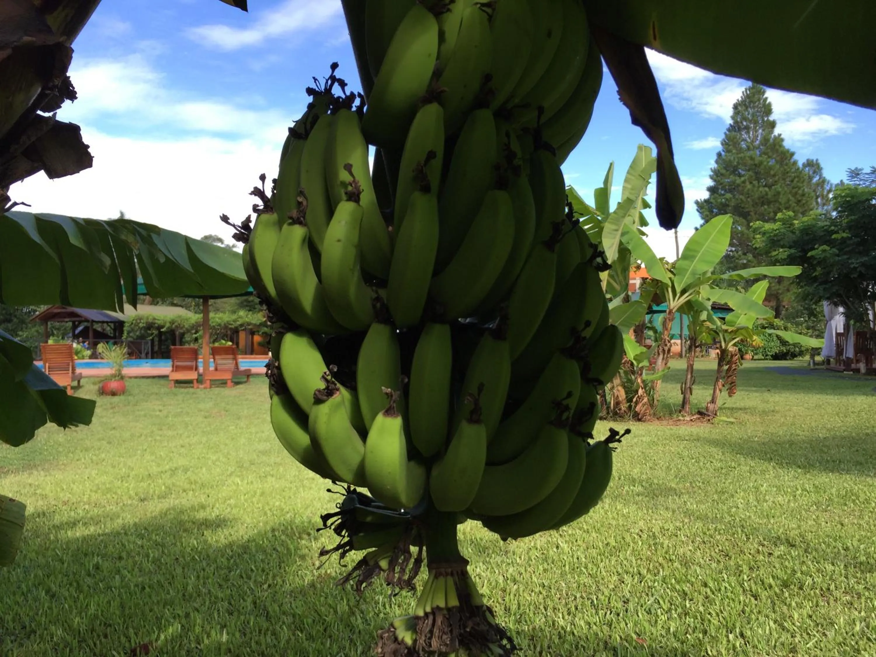 Off site in Hotel Carmen