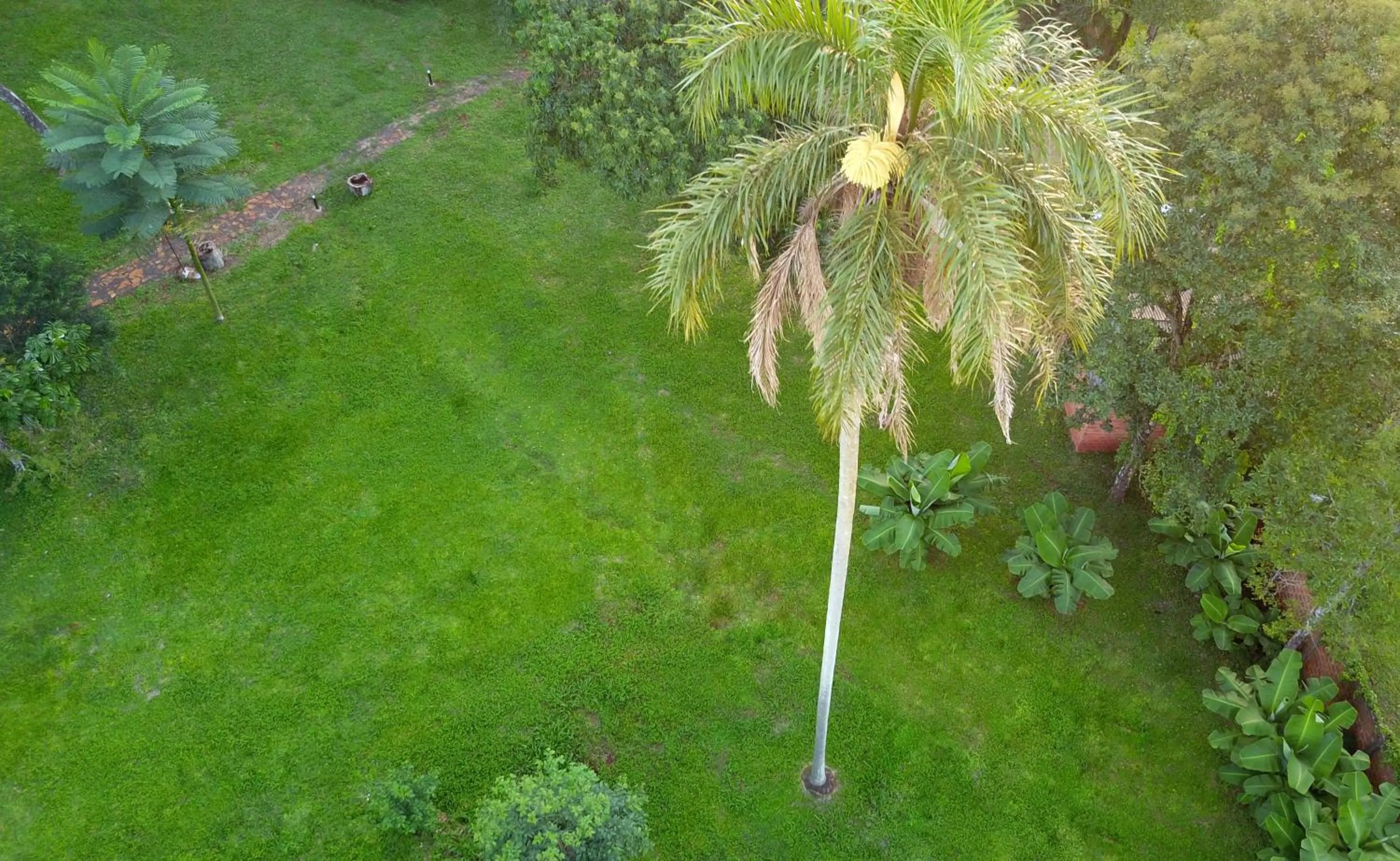 Garden in Hotel Carmen