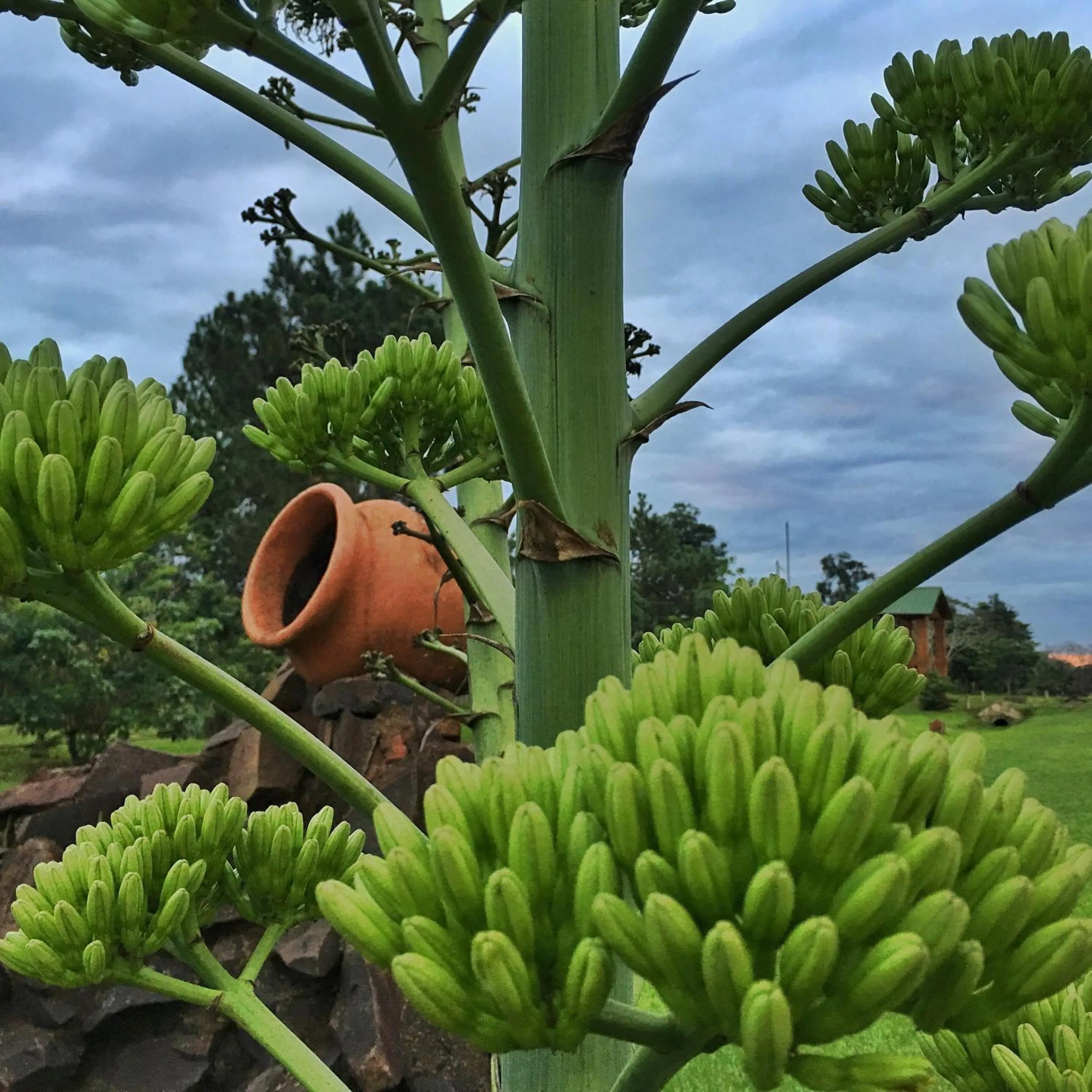 Other in Hotel Carmen
