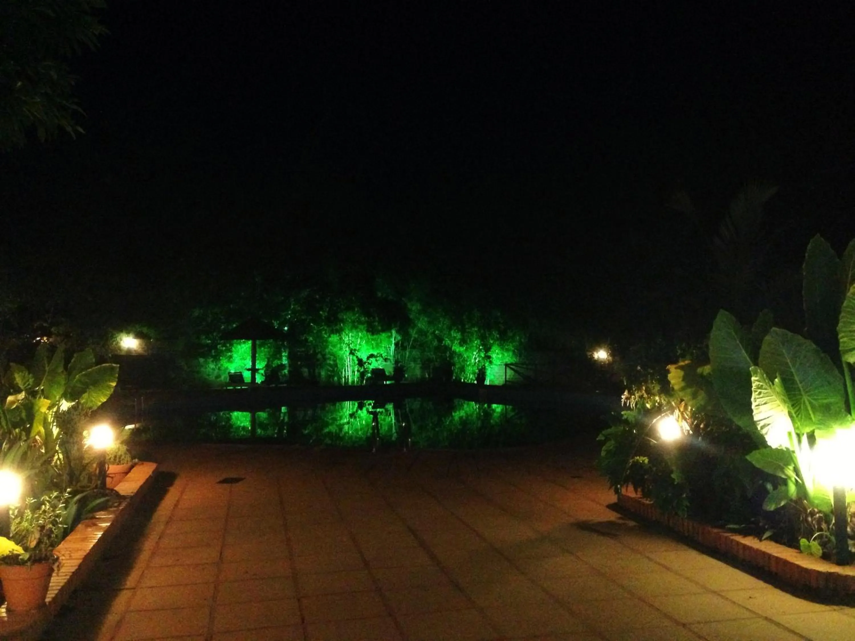 Night in Hotel Carmen