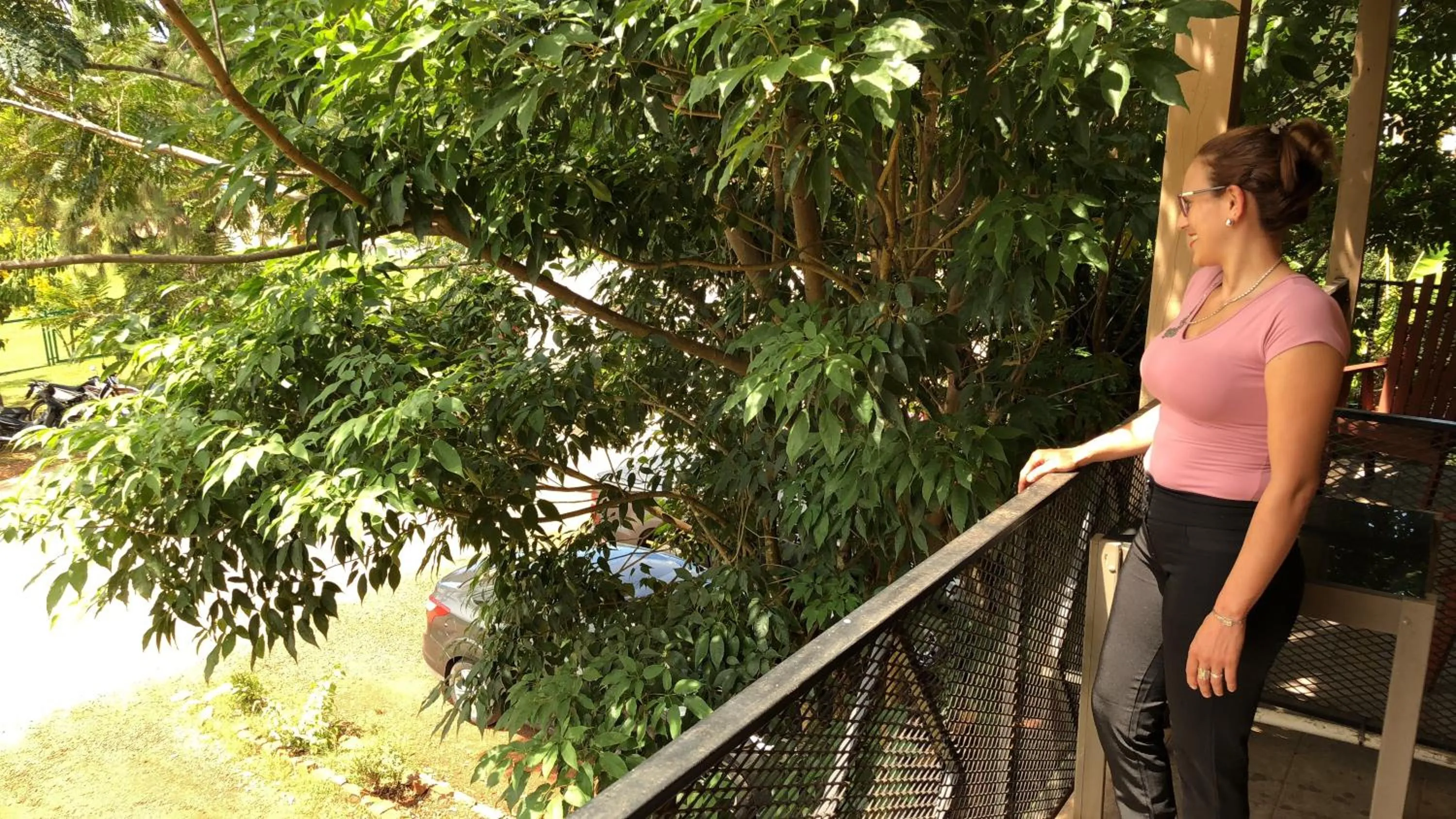 Garden in Hotel Carmen