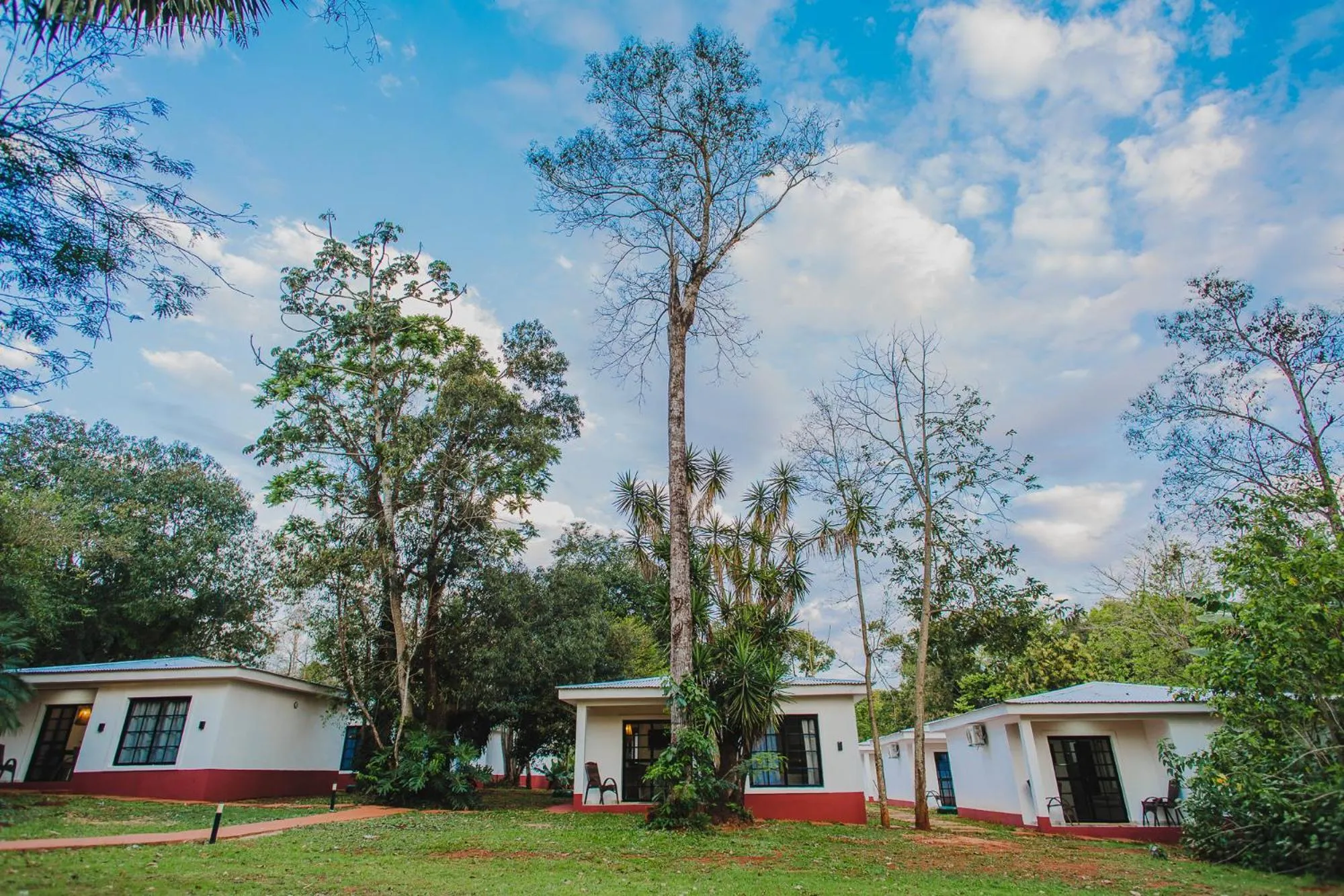 Spring in Hotel Carmen