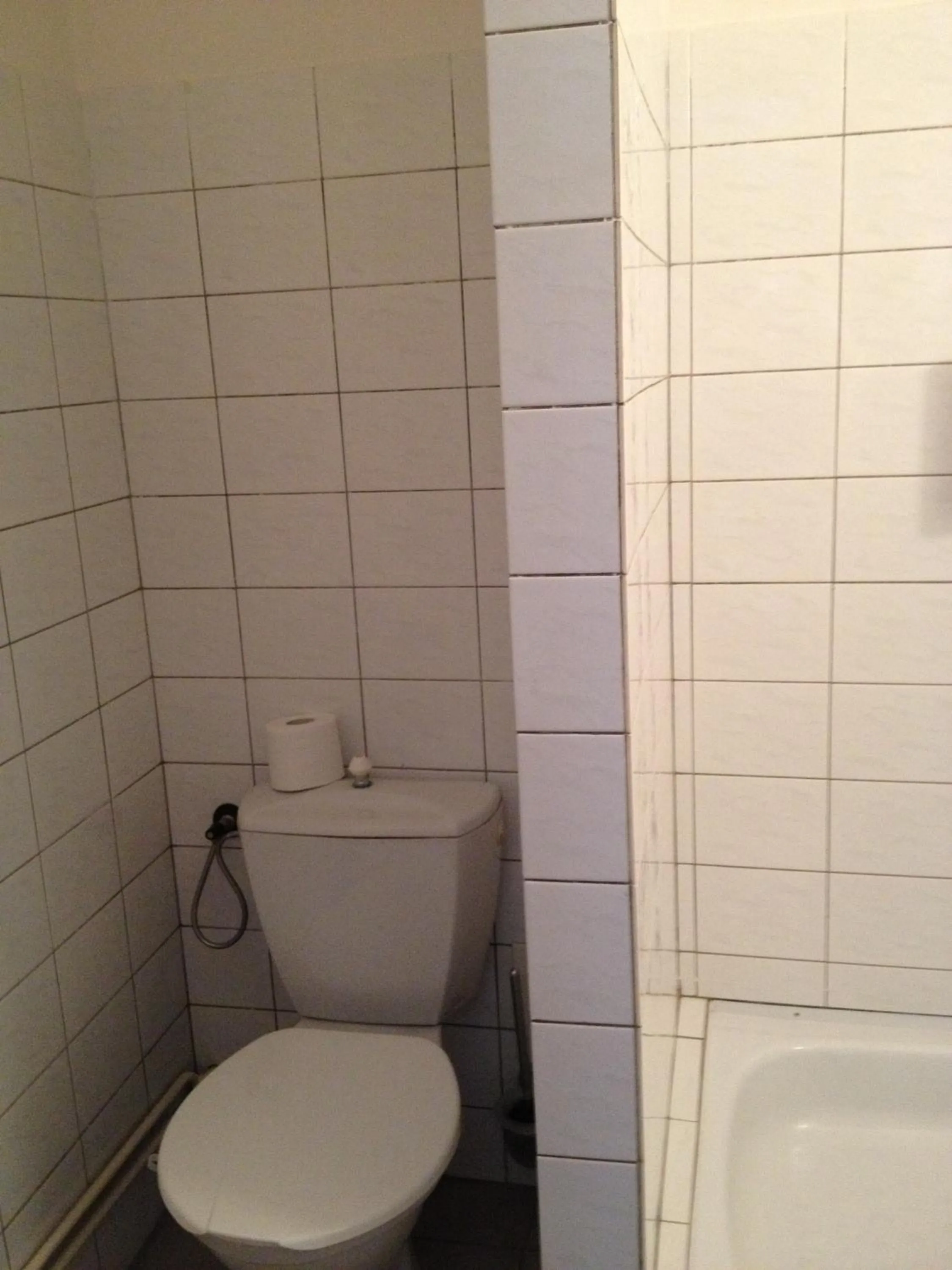 Toilet in Pension Filip