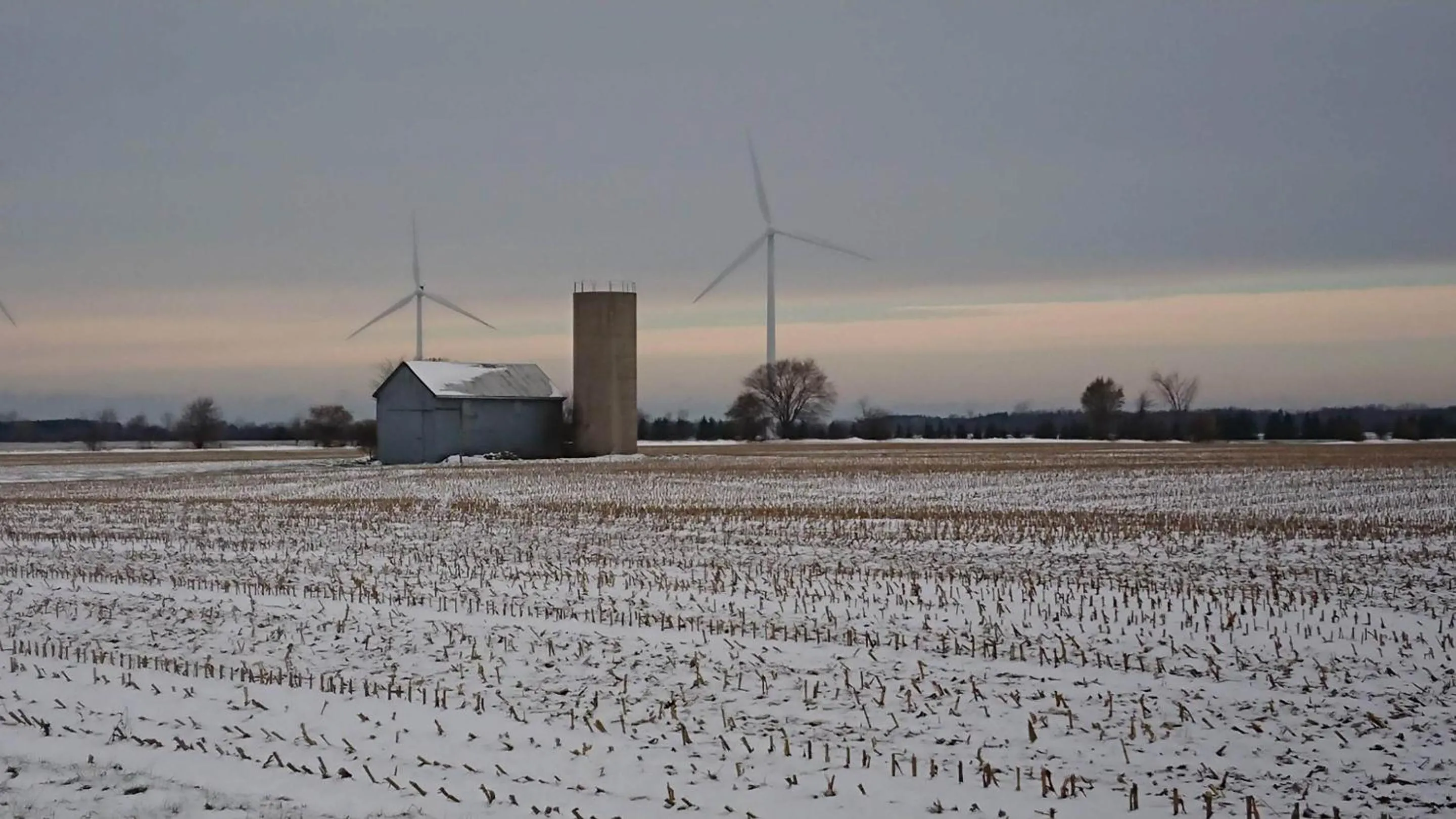 Neighbourhood in Colborne Bed and Breakfast