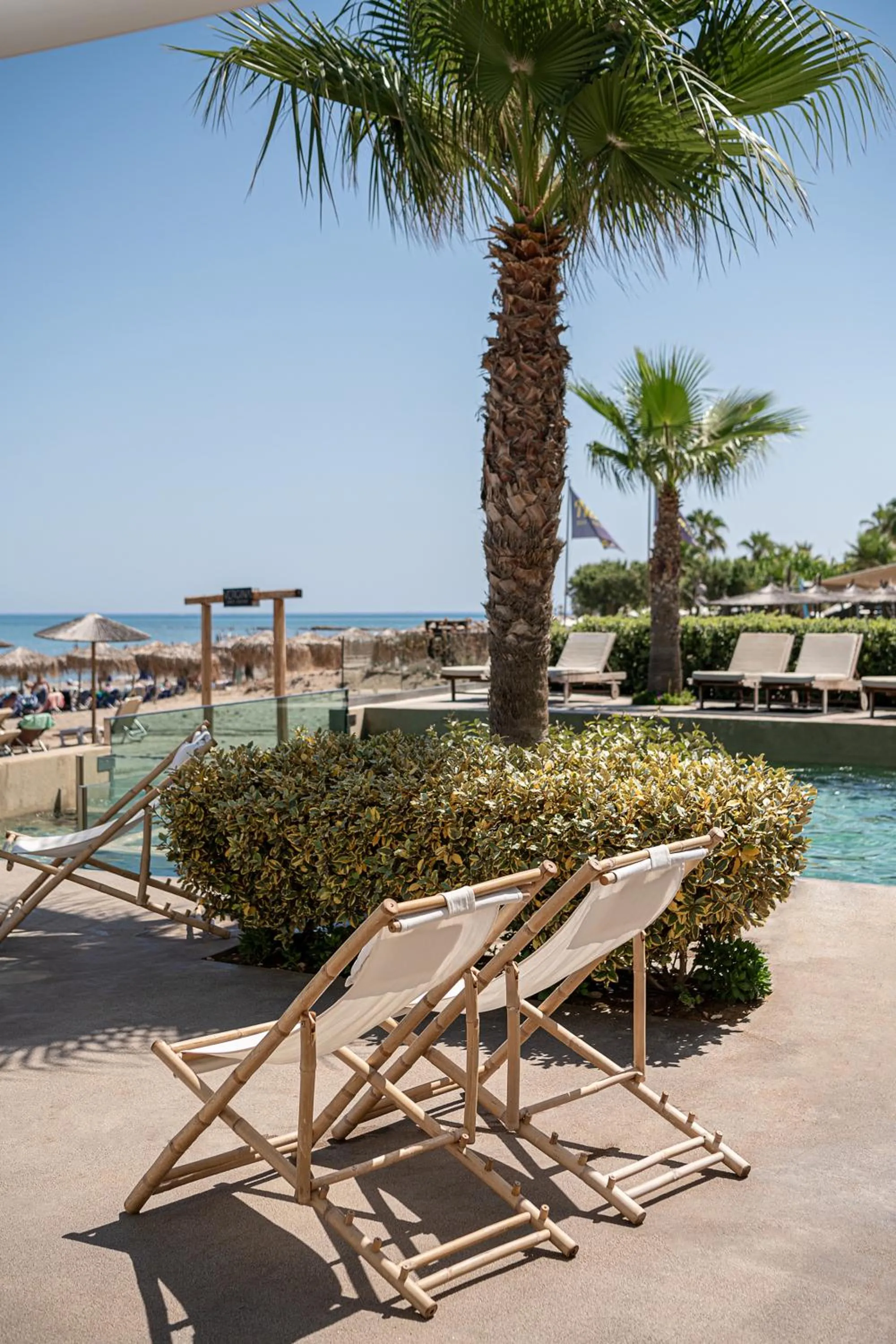 sunbed in Vergina Beach Hotel