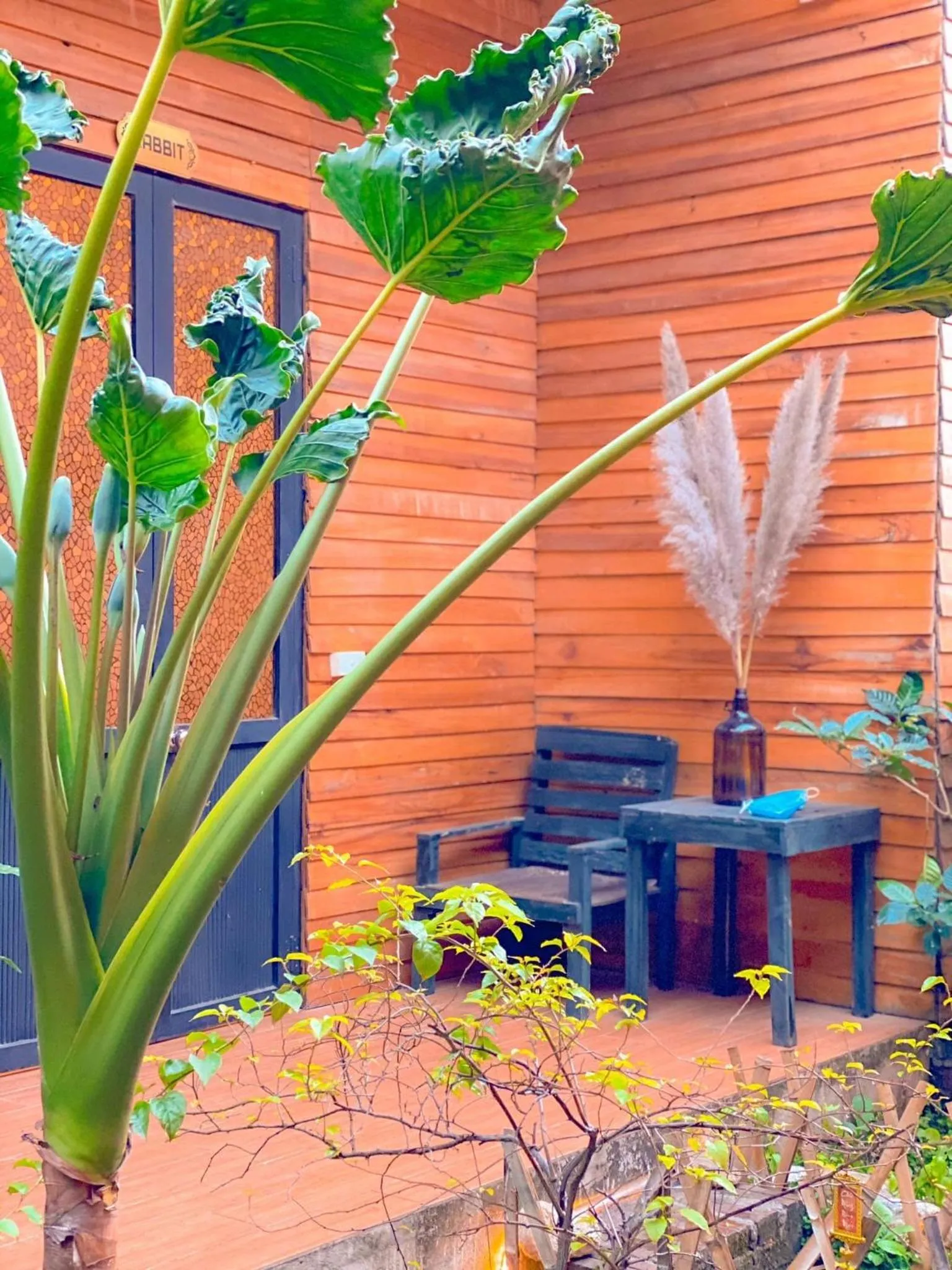 Patio in Golden Jungle House