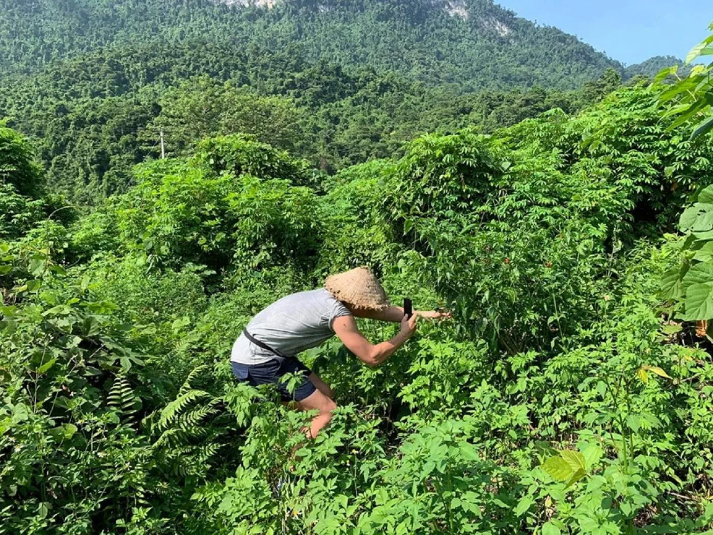 People in Golden Jungle House