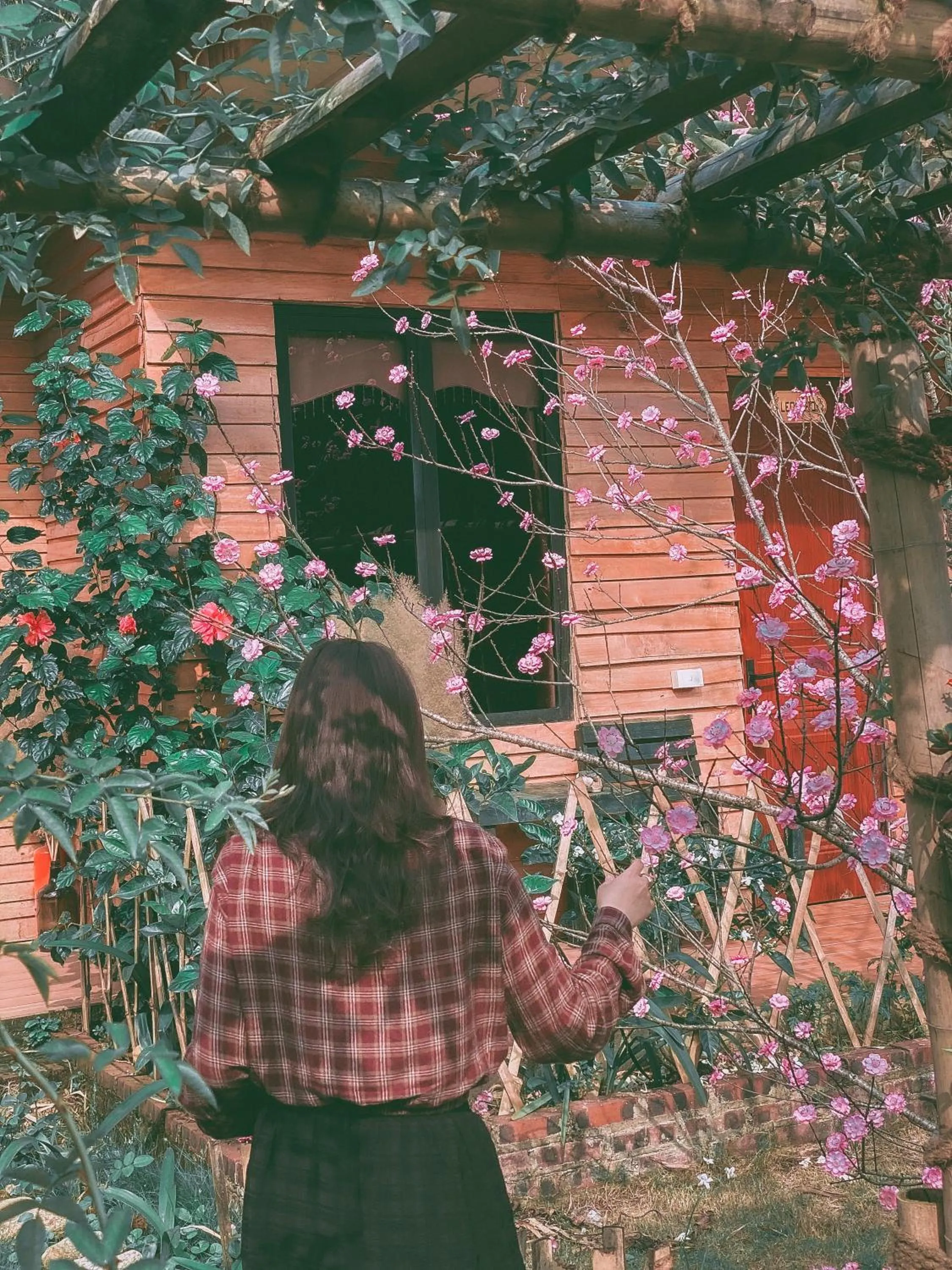 Patio in Golden Jungle House