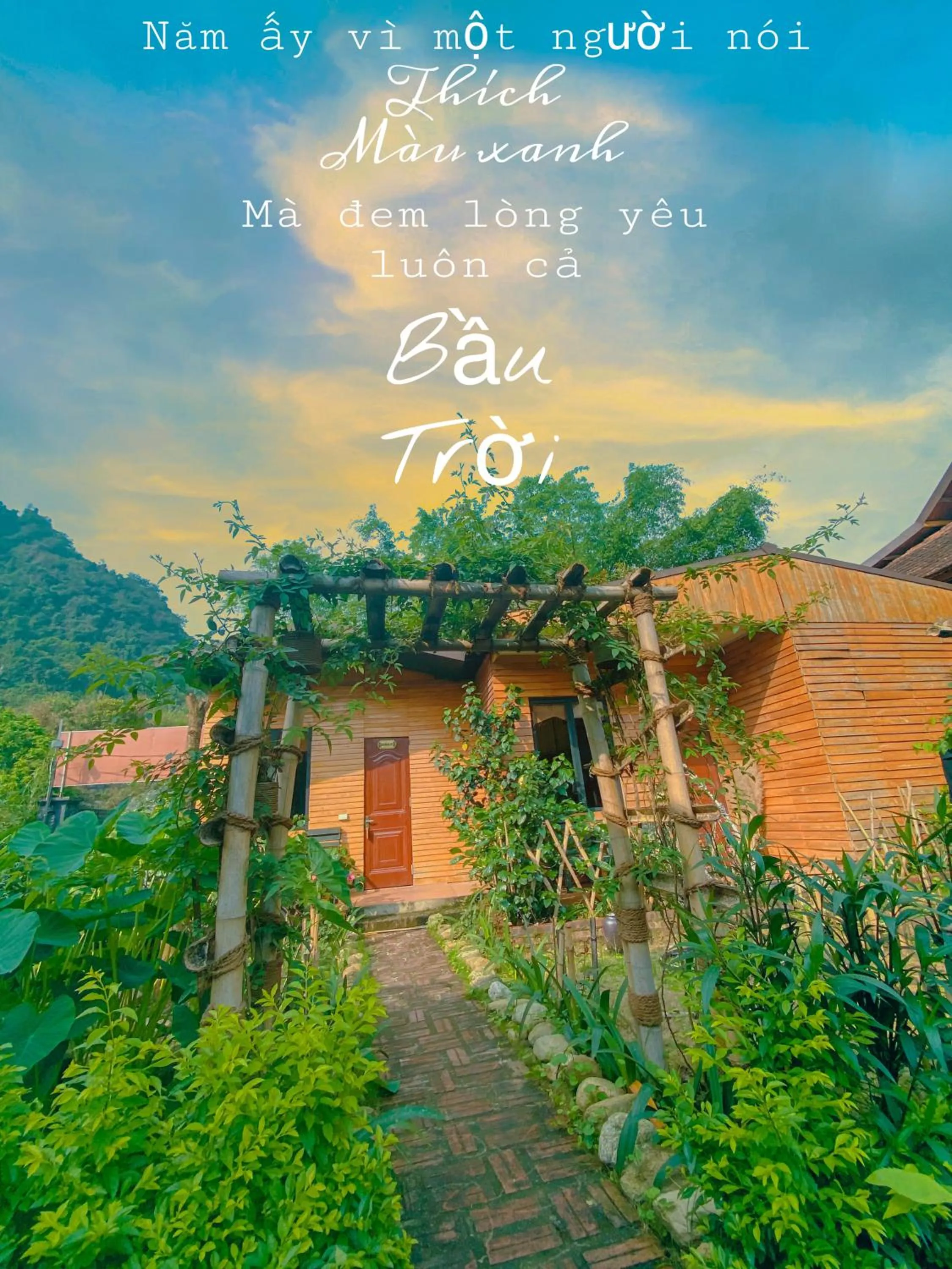 Patio in Golden Jungle House