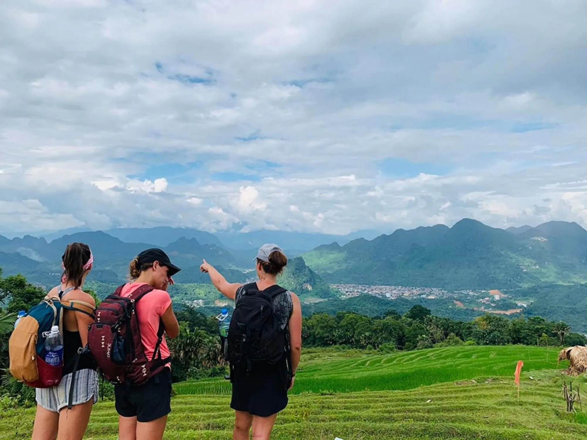 People in Golden Jungle House