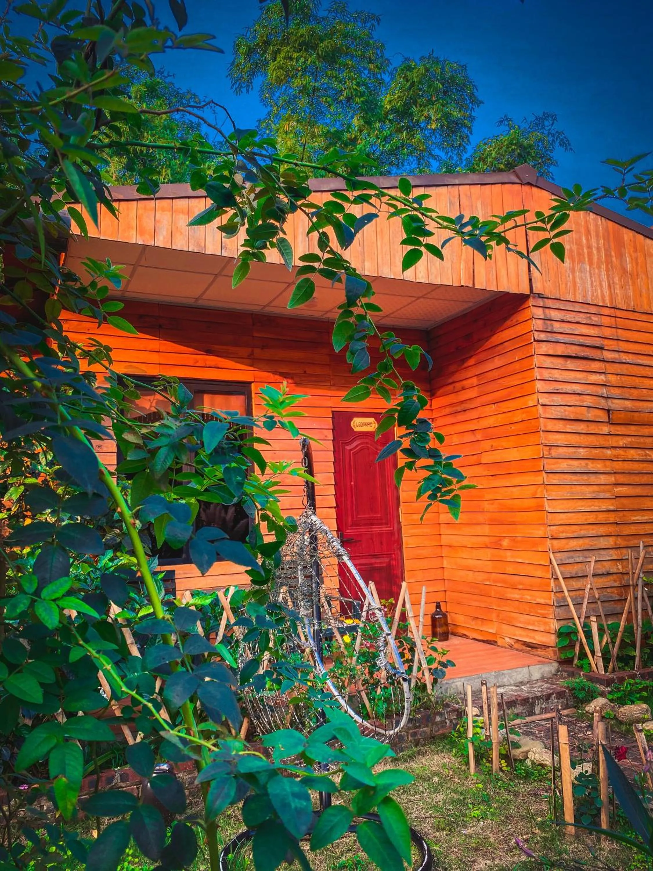 Facade/entrance in Golden Jungle House