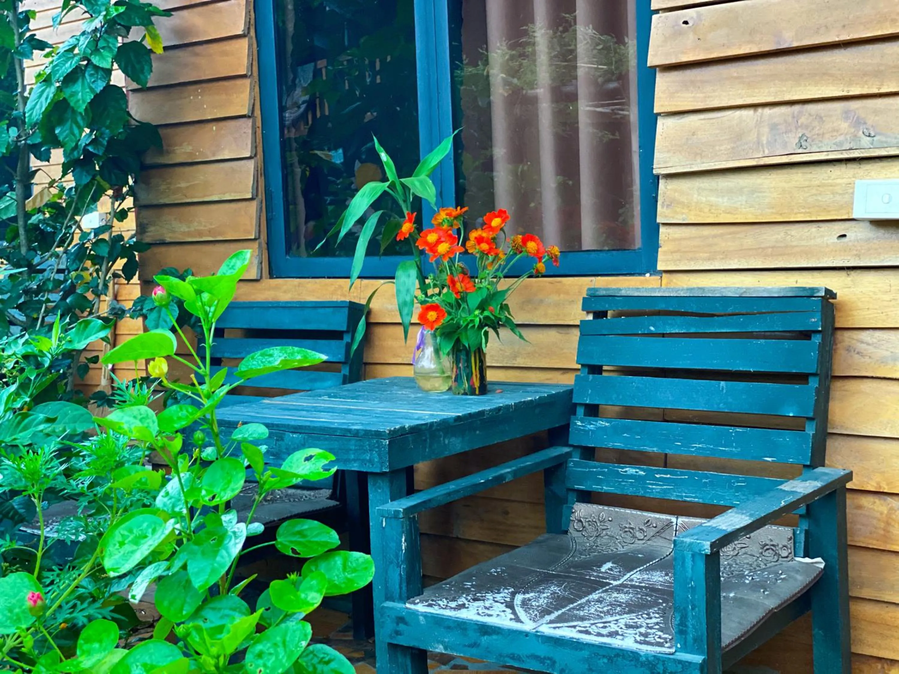 Patio in Golden Jungle House