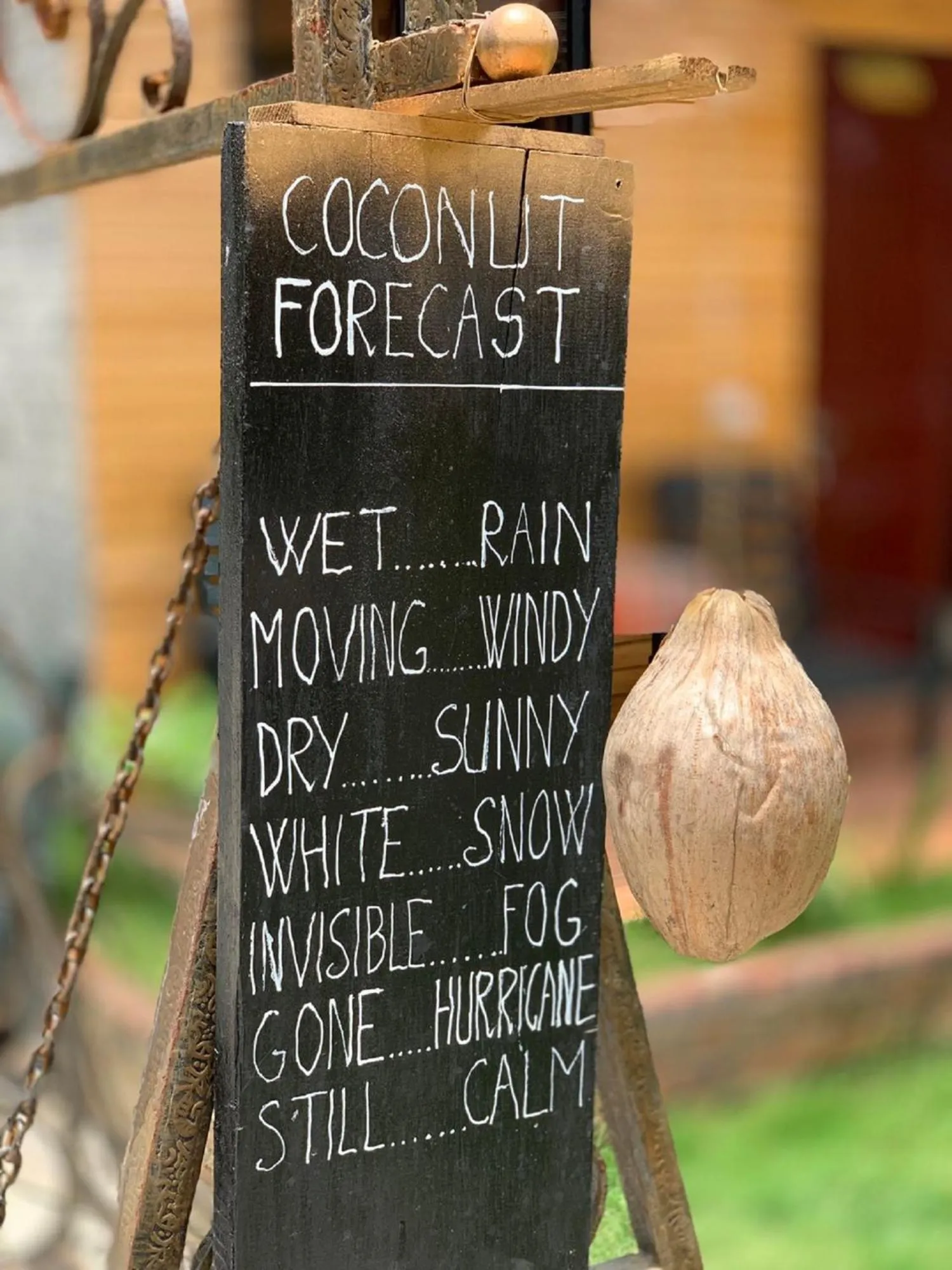 Patio in Golden Jungle House