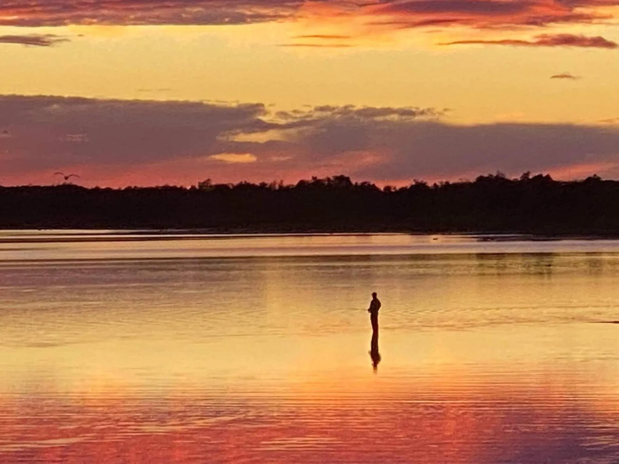 Natural landscape in Sandbar Motel