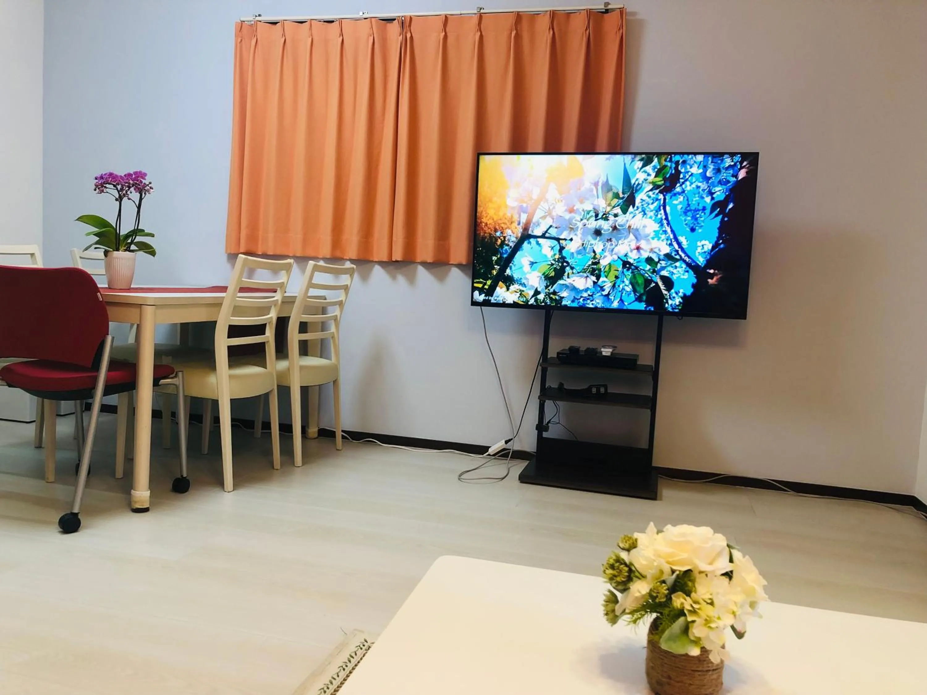 TV and multimedia in K House