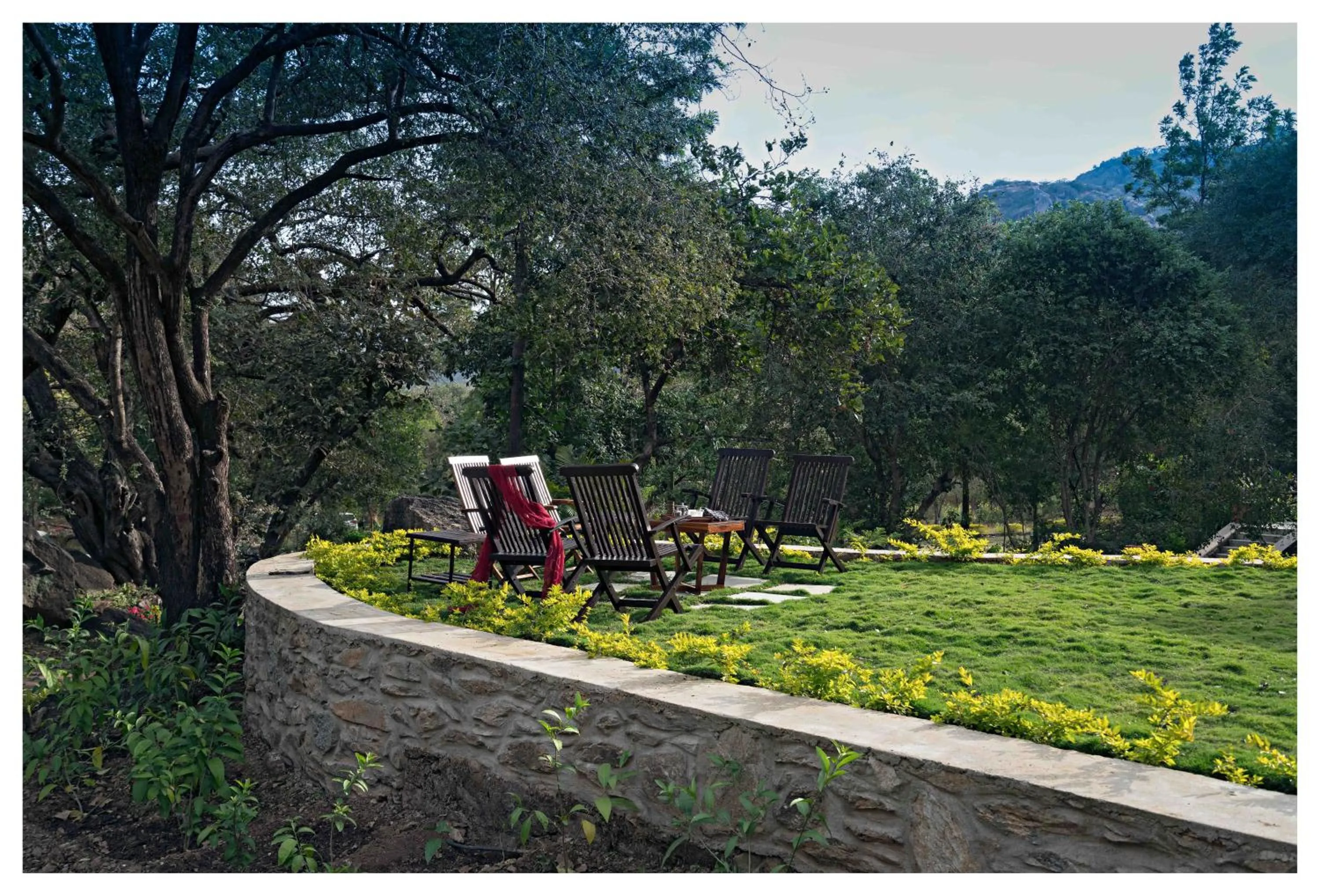 Garden in Wordsworth Lodge