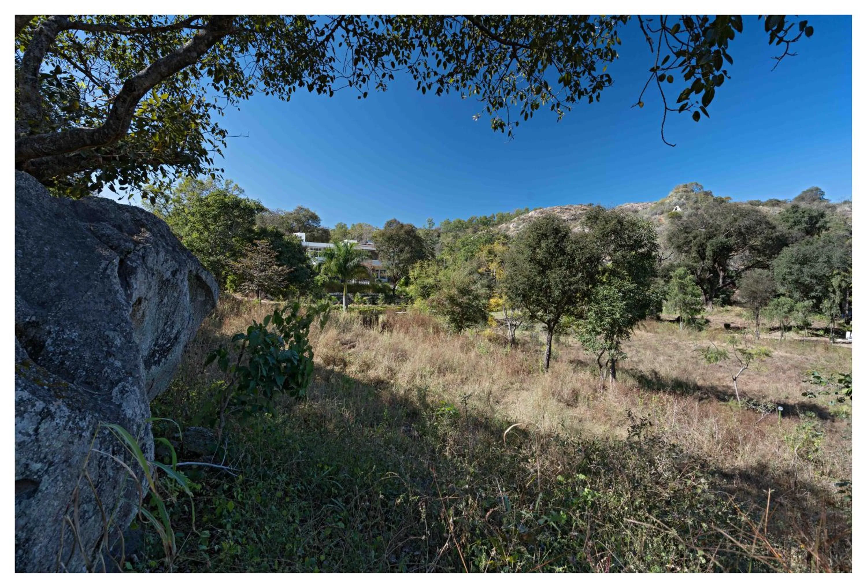 Property building in Wordsworth Lodge