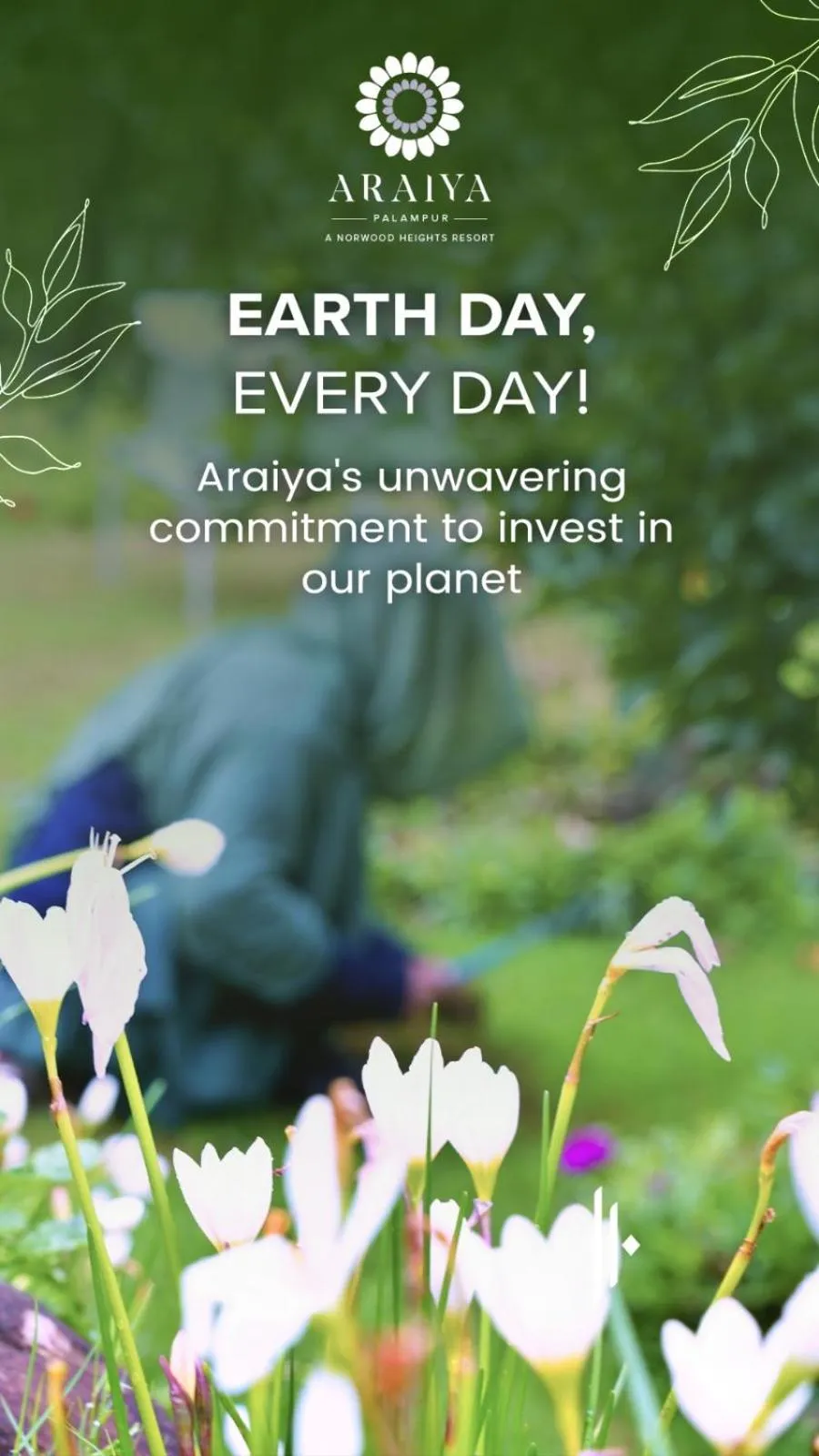 Property building in Araiya Palampur