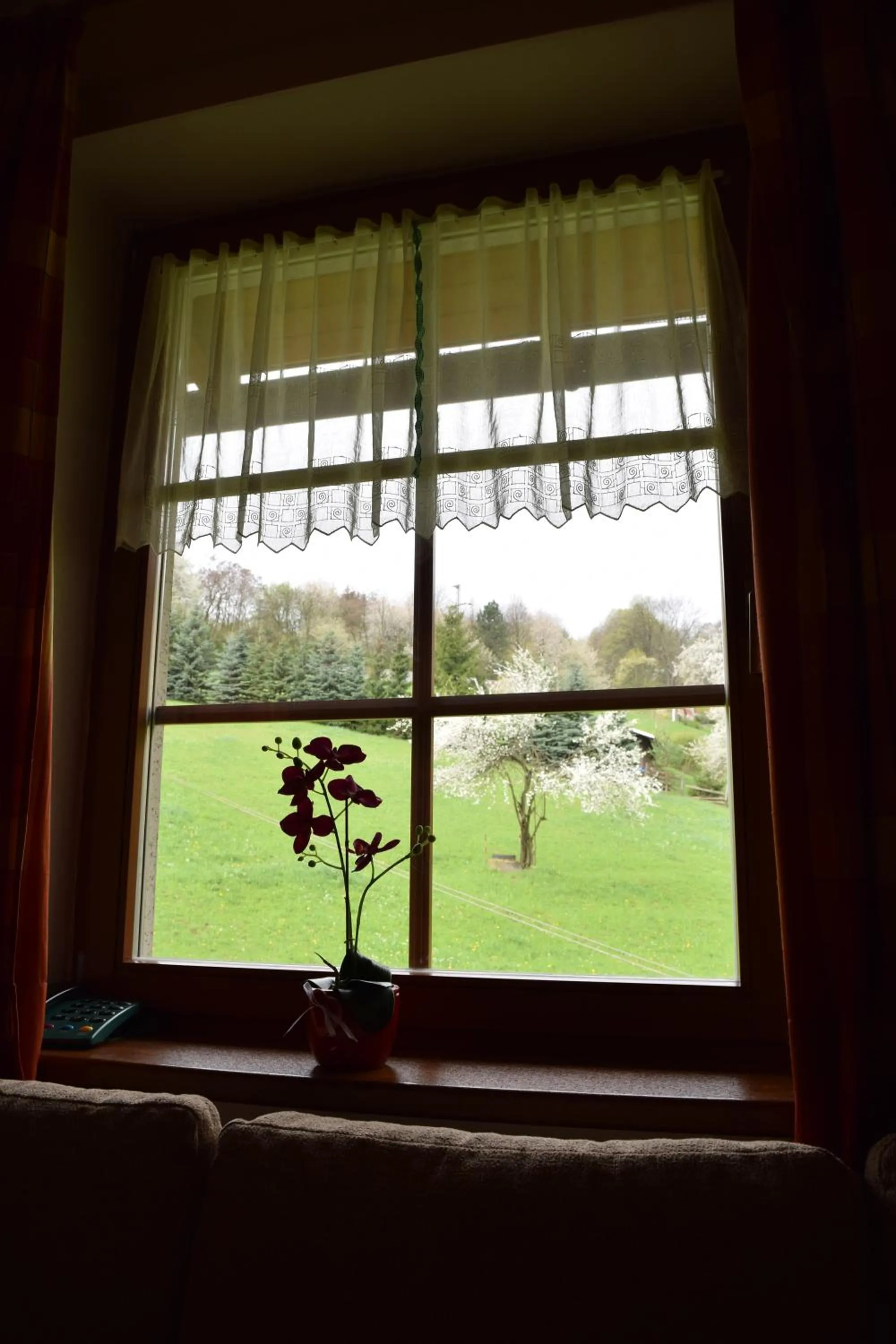 Suite - single occupancy in Penzión Stefanshof