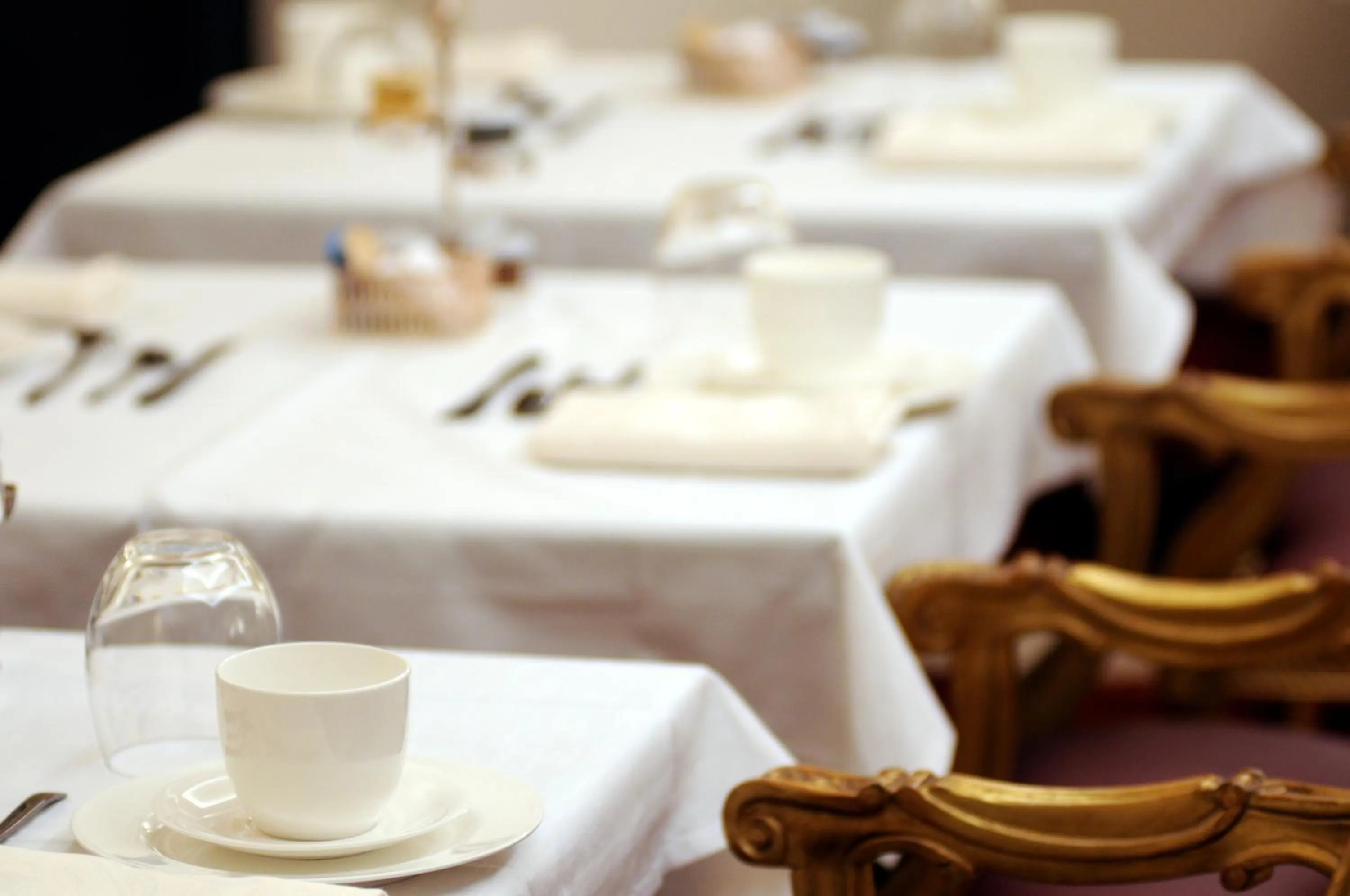 Restaurant/places to eat in Hotel Villa Duse