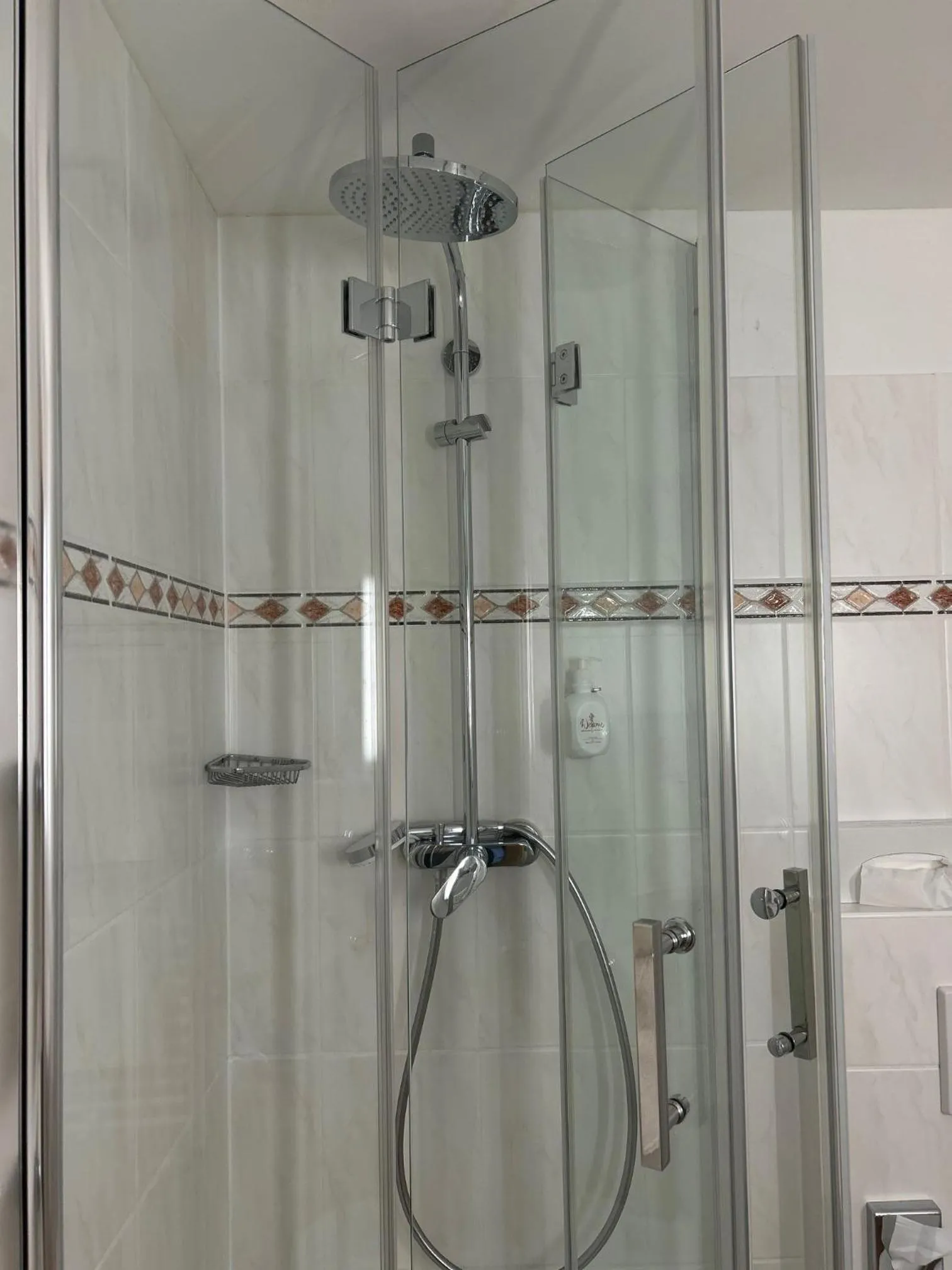 Seehotel Schäpfle