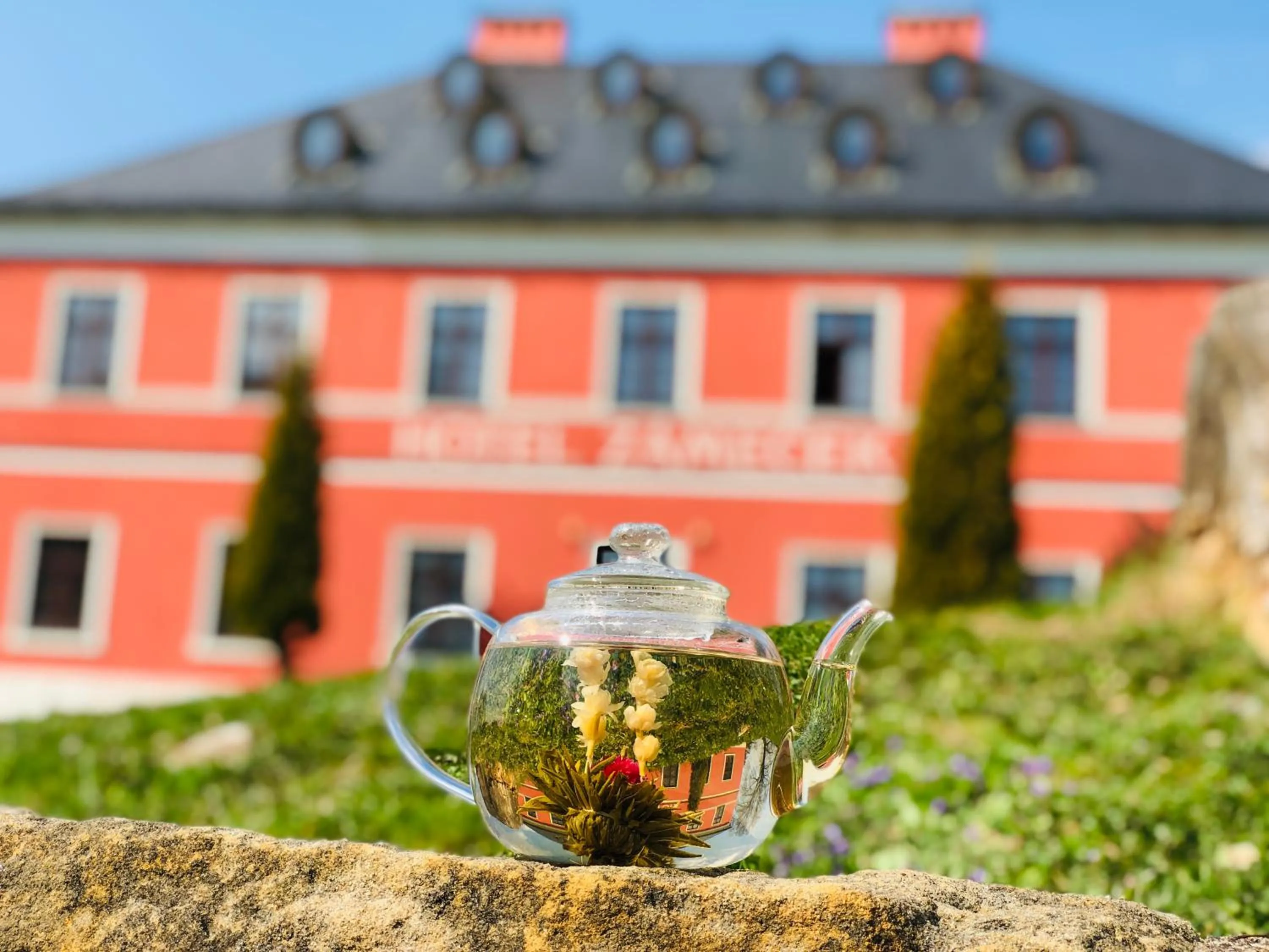Property building in Wellness Hotel Zámeček