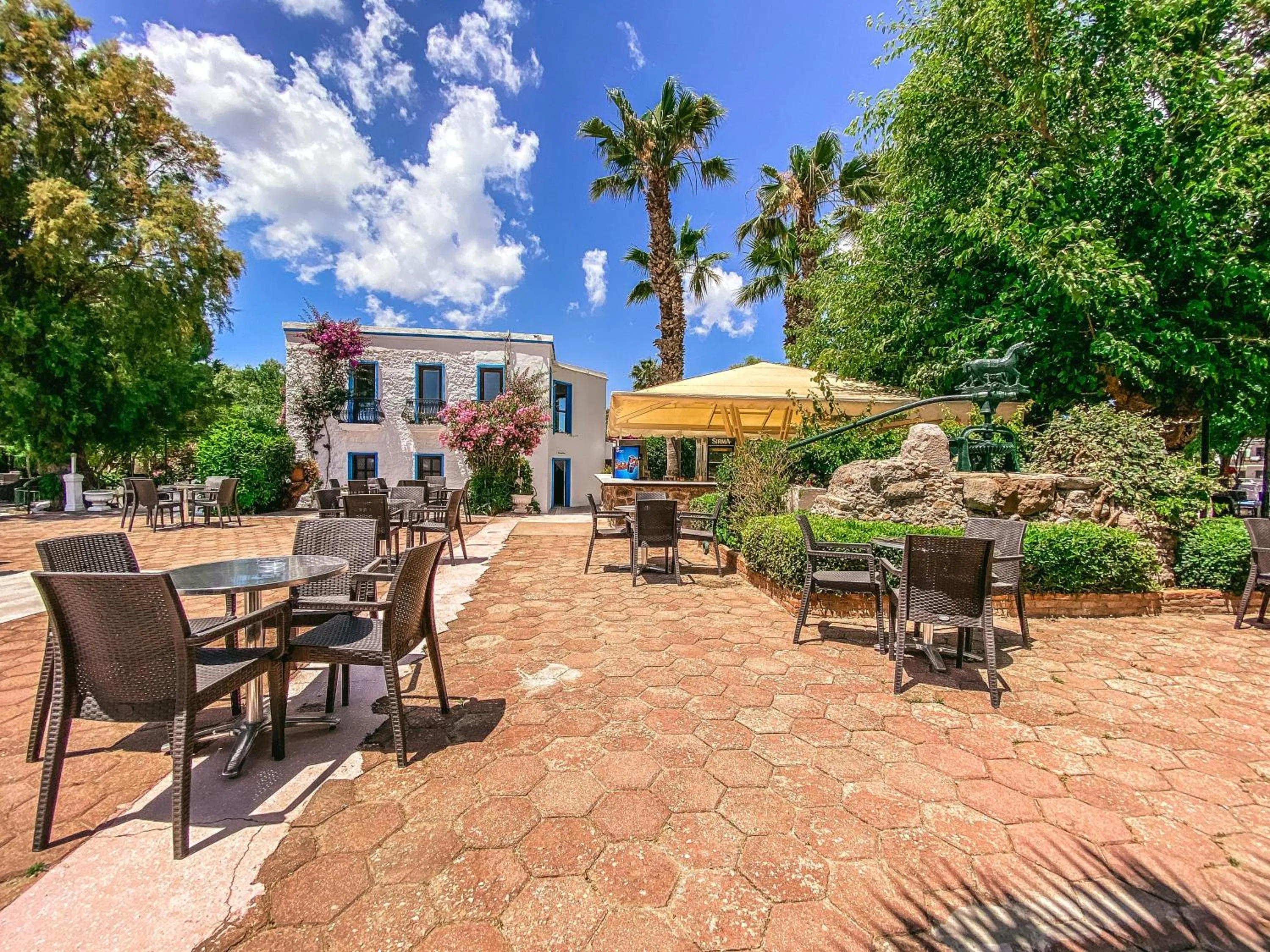 Patio in Club Muskebi