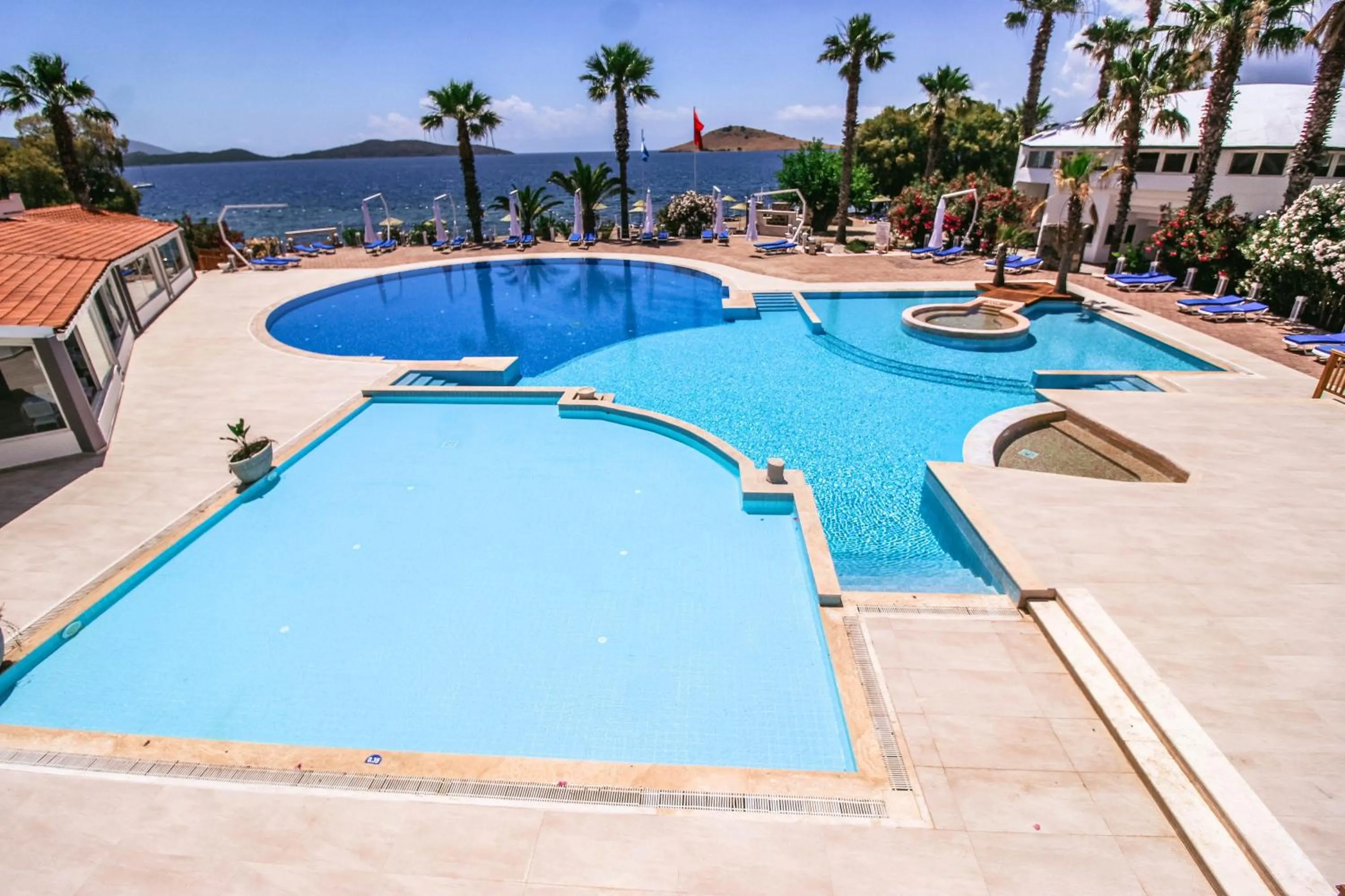 Swimming pool in Club Muskebi