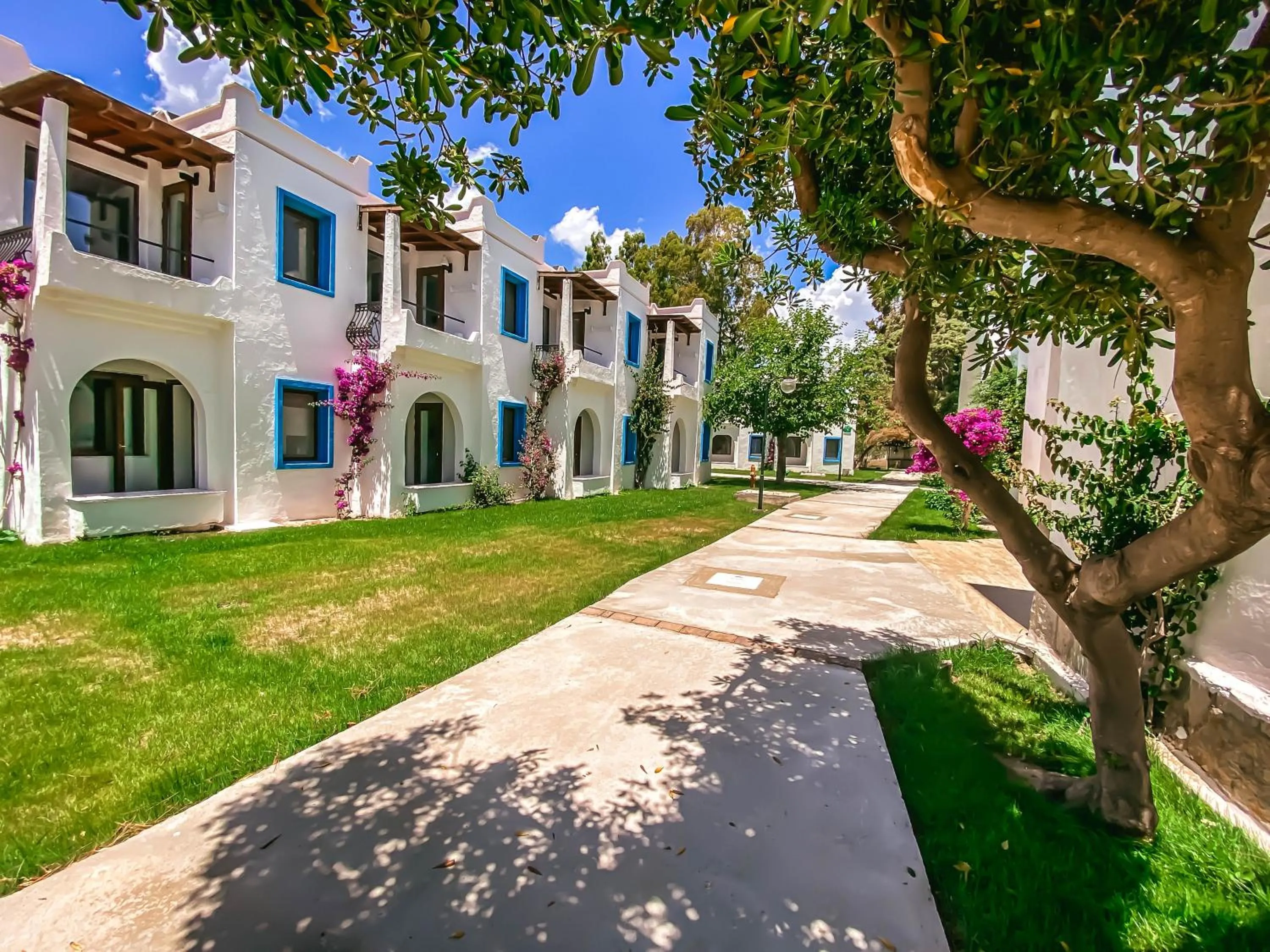 Property building in Club Muskebi