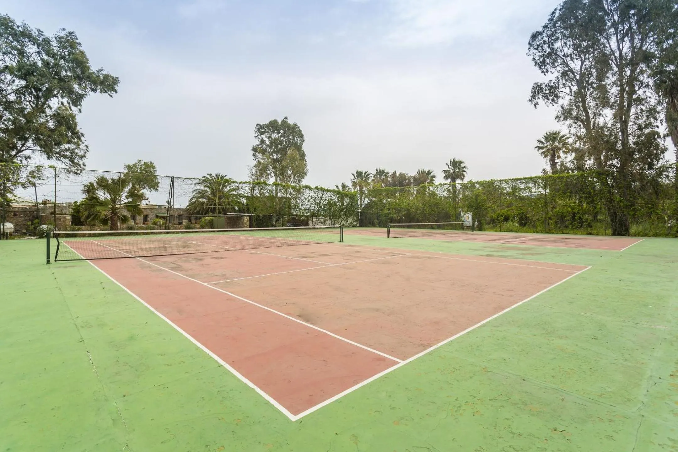 Activities in Club Muskebi