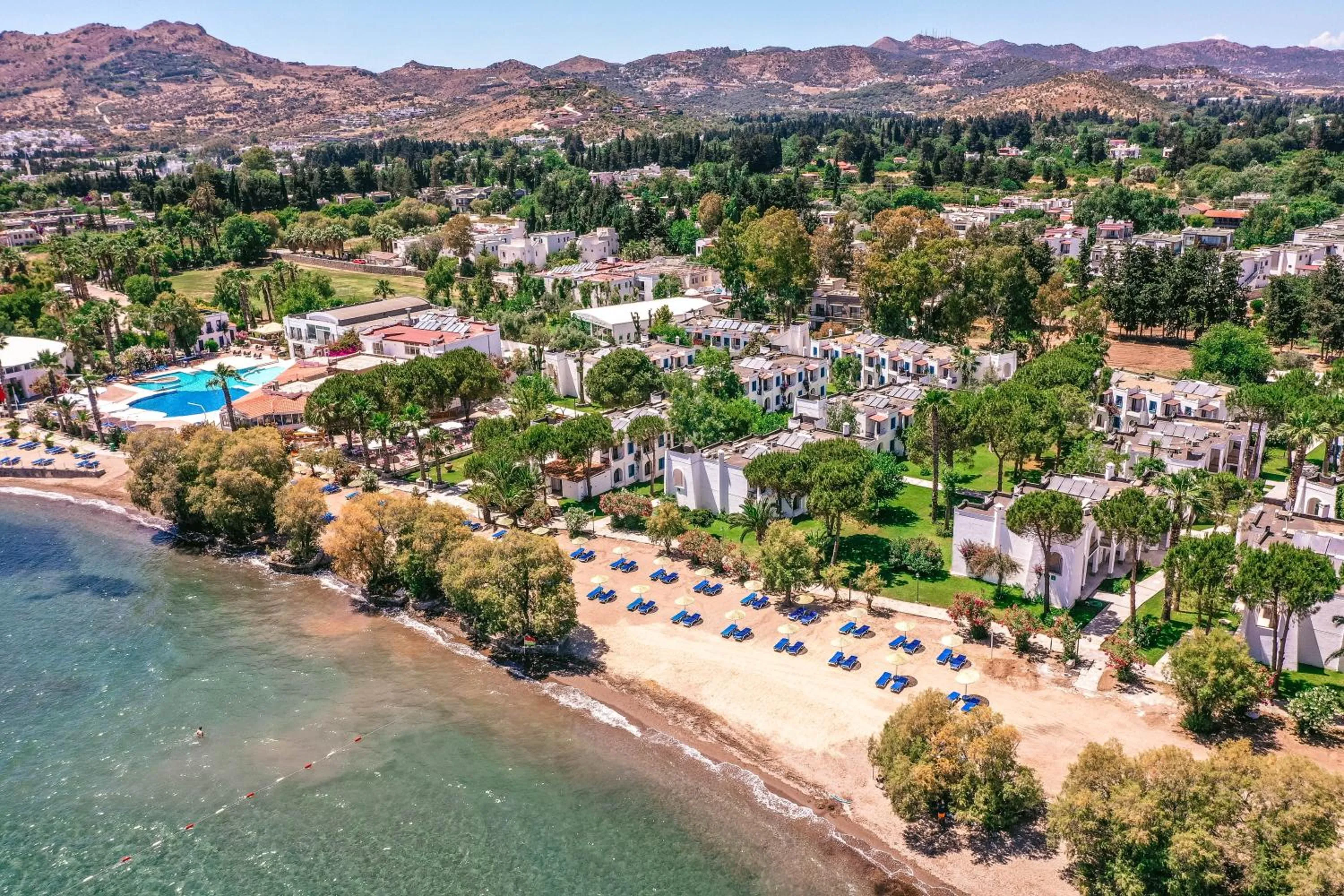 Bird's eye view in Club Muskebi