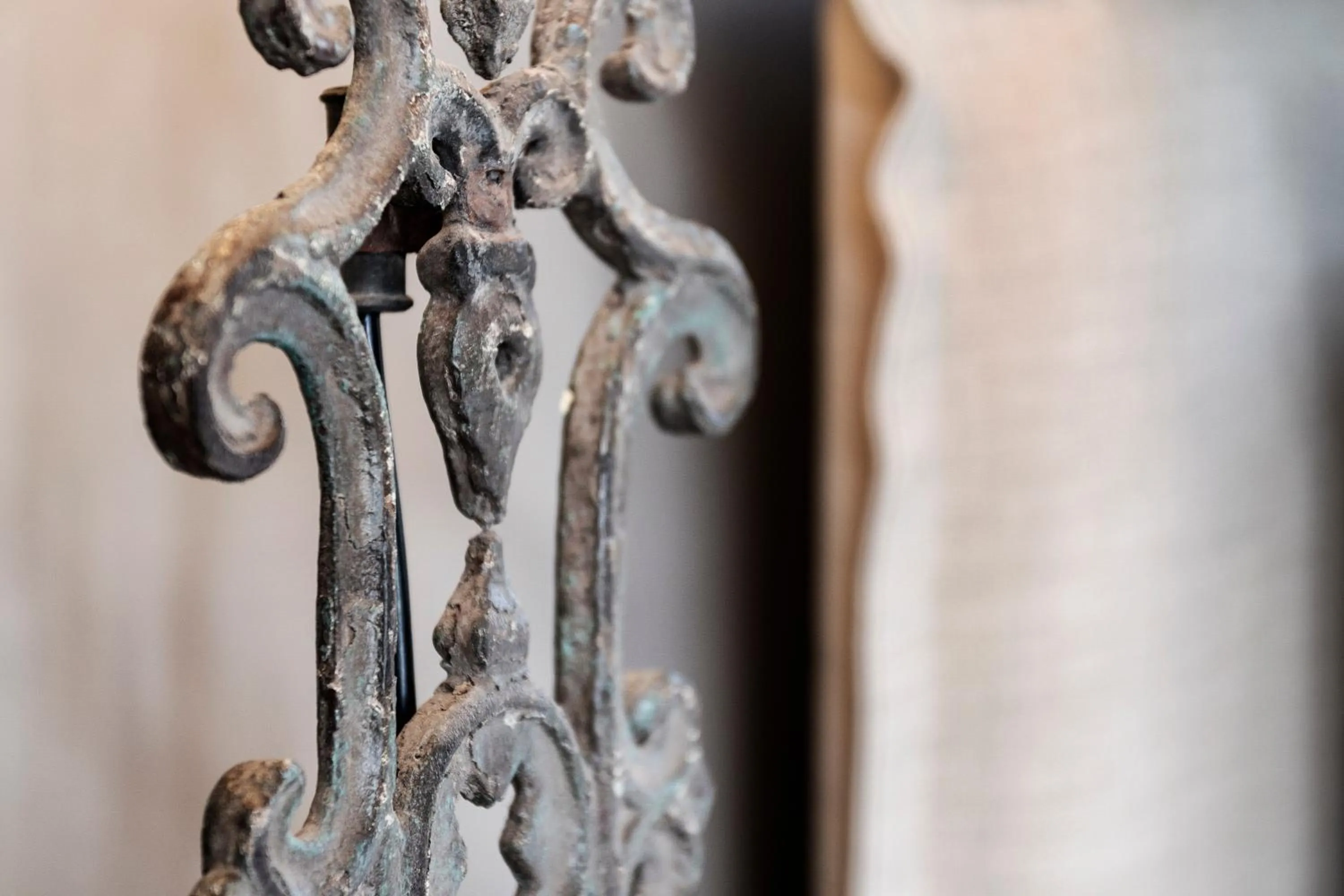 Garden in The Rivulet