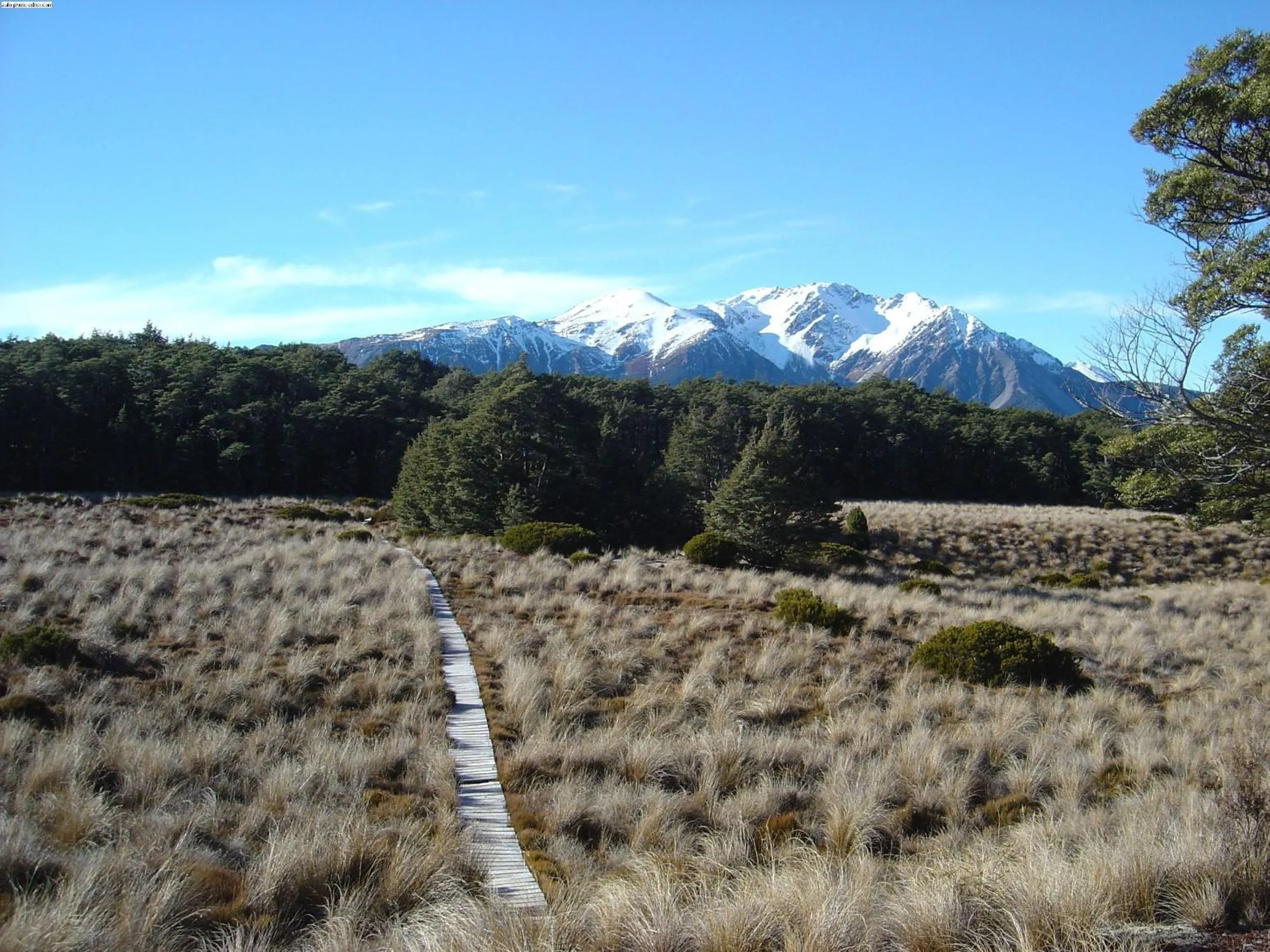 Day in Arthur's Pass Alpine Motel
