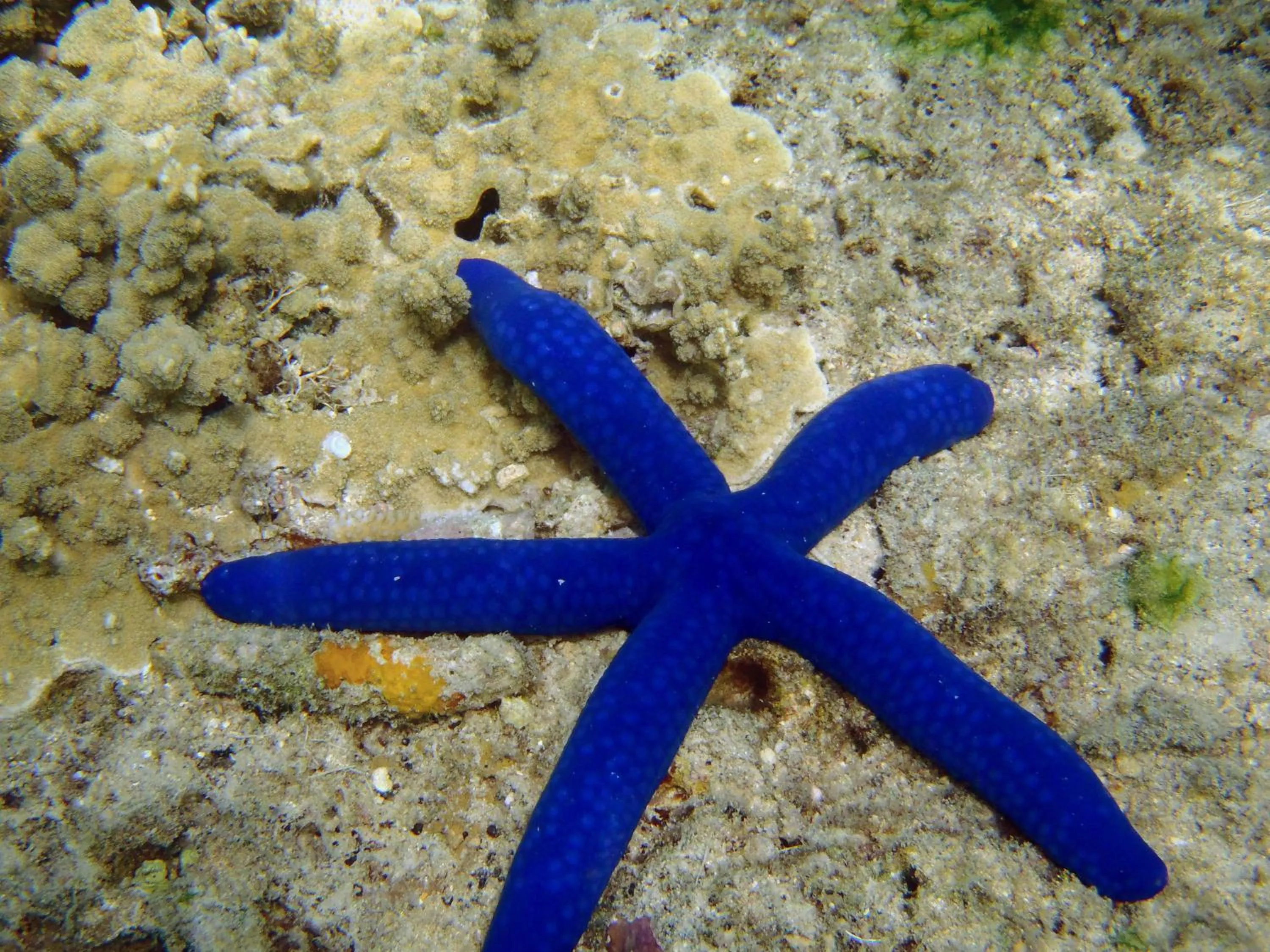 Sports in Barefoot Manta Island Resort