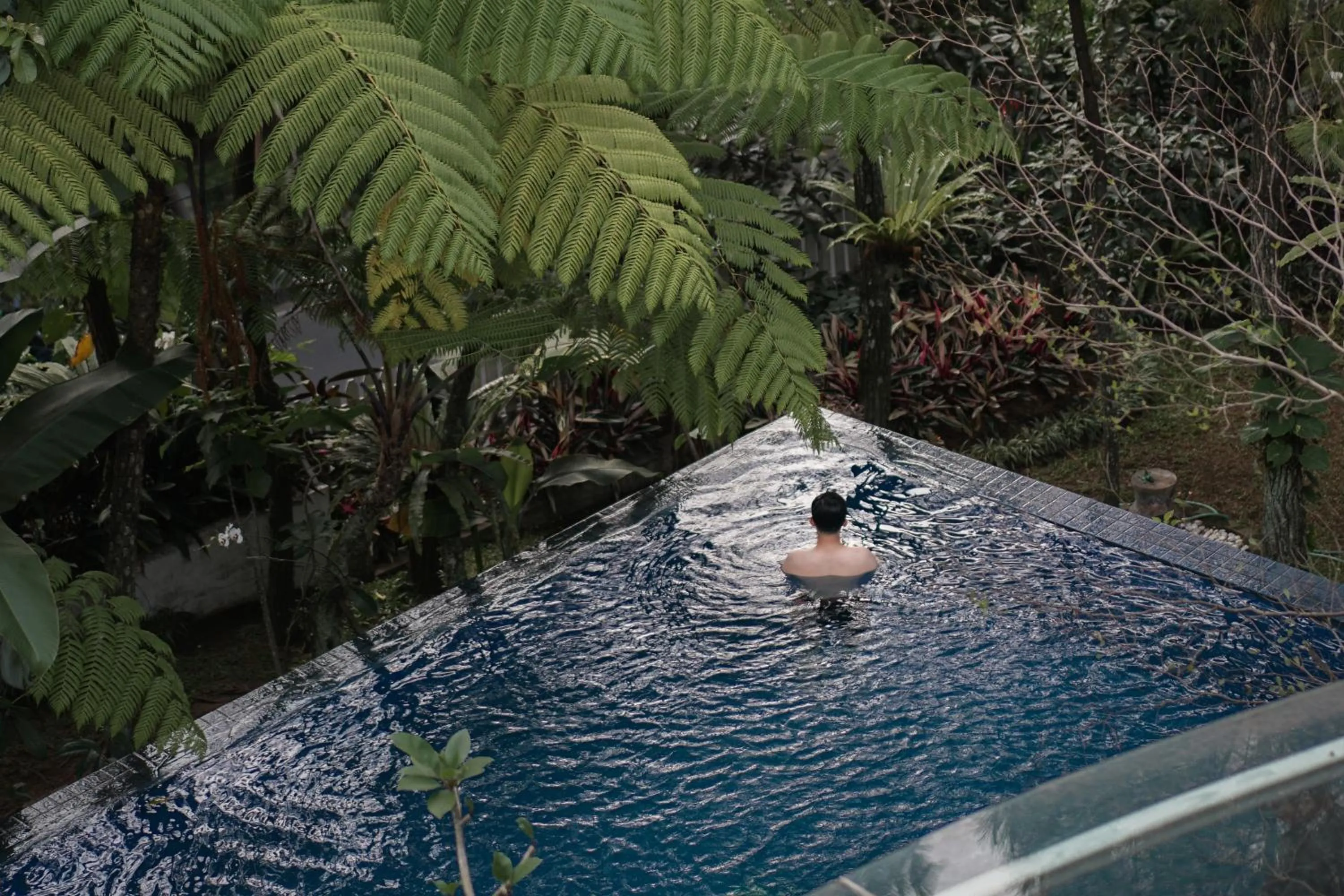 Pool view in House Sangkuriang