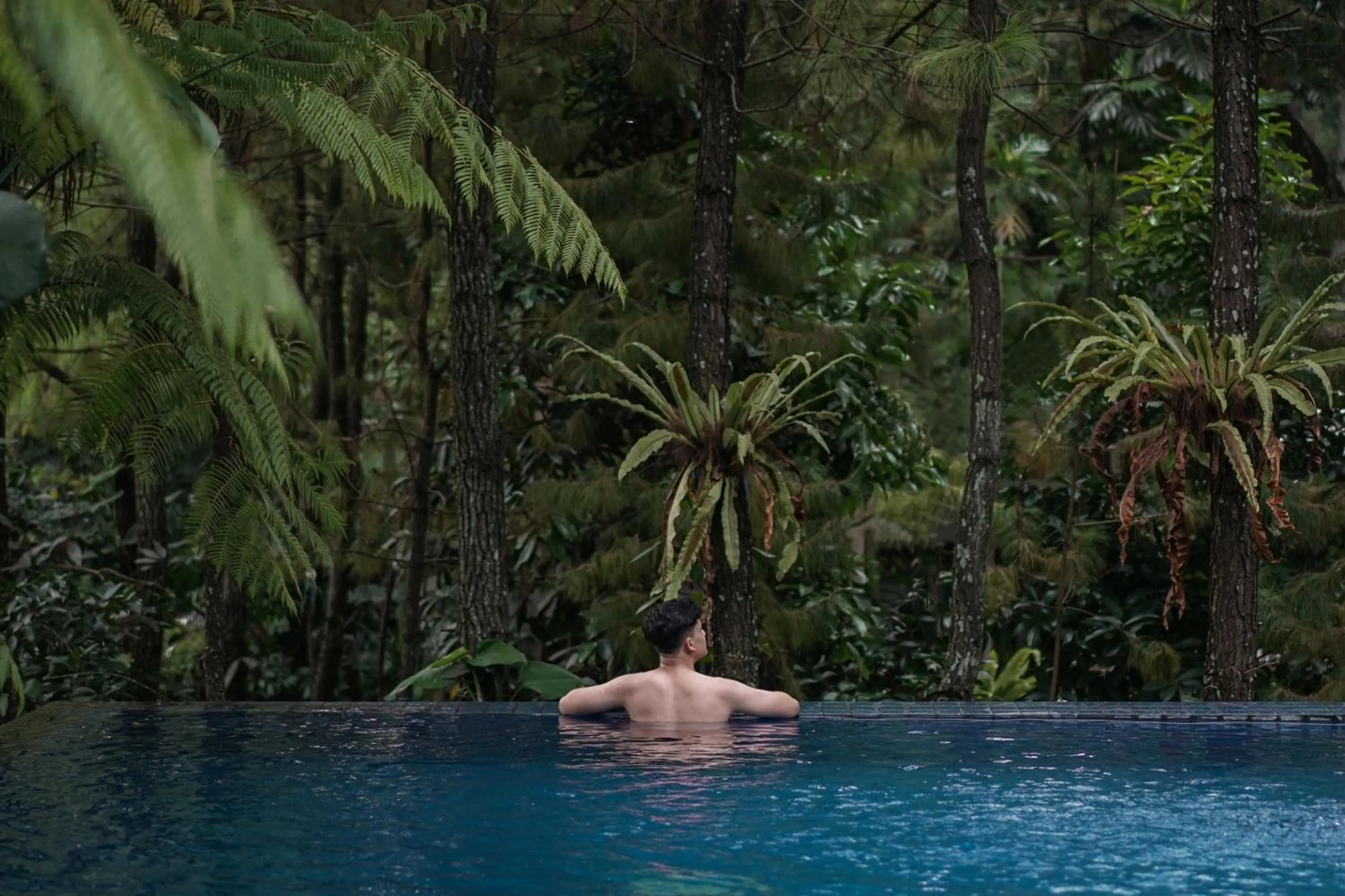Pool view in House Sangkuriang