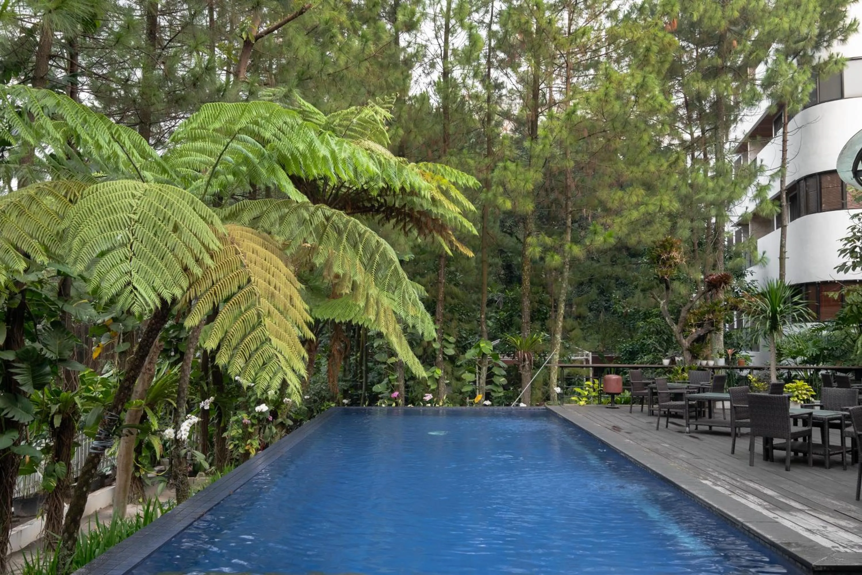 Swimming pool in House Sangkuriang