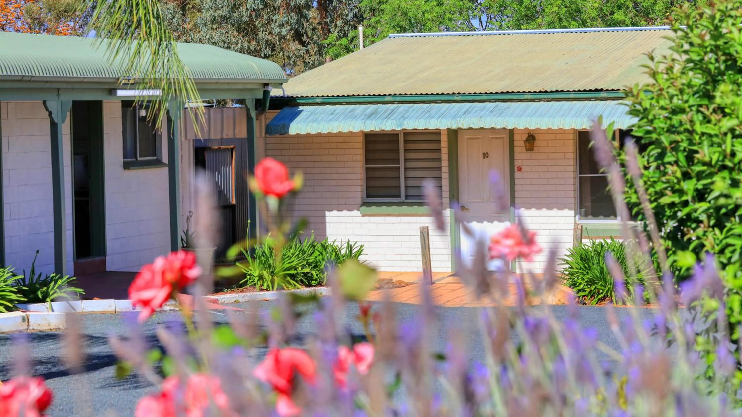 Property building in Oasis Motel