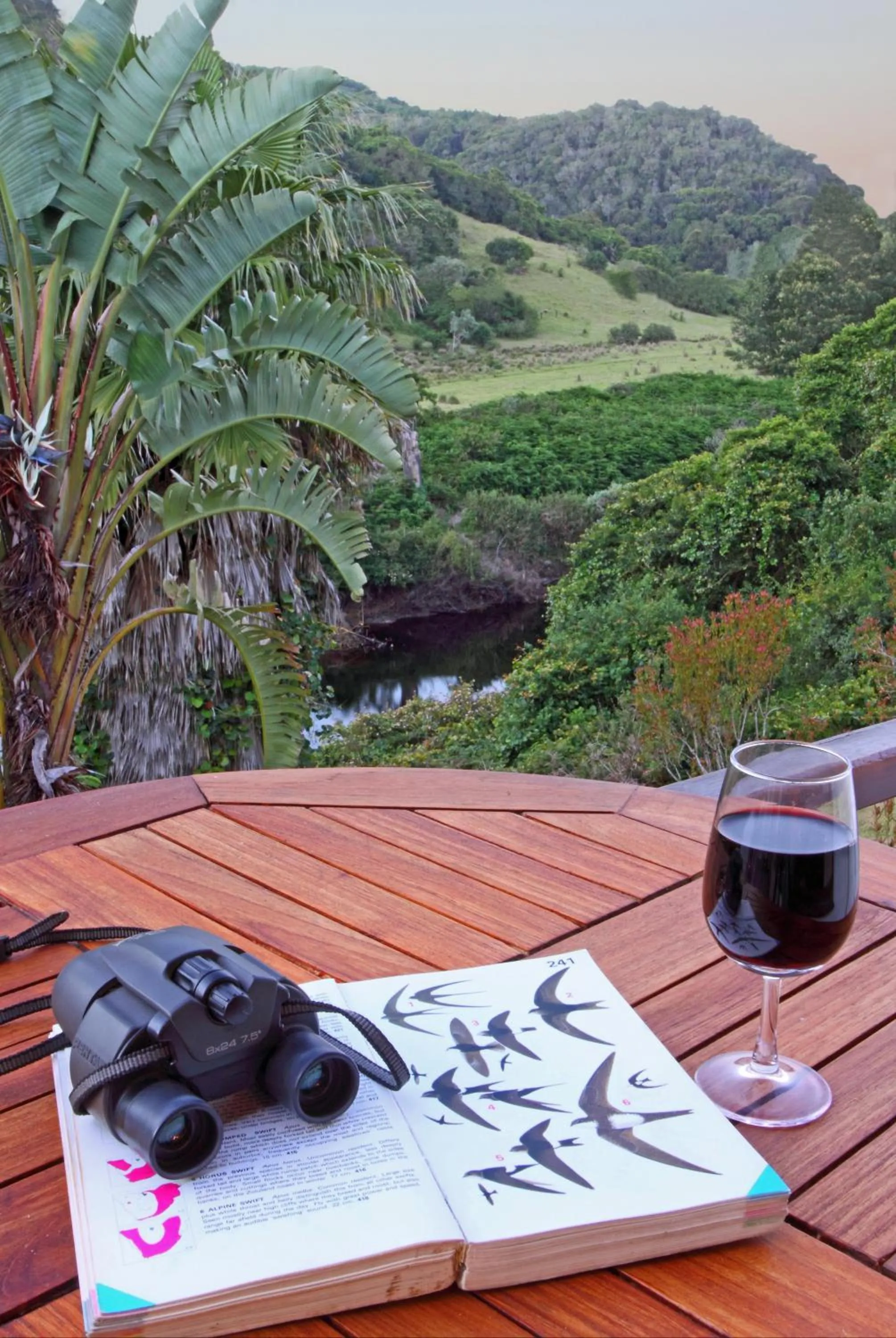 Patio in Blackwaters River Lodge, Knysna