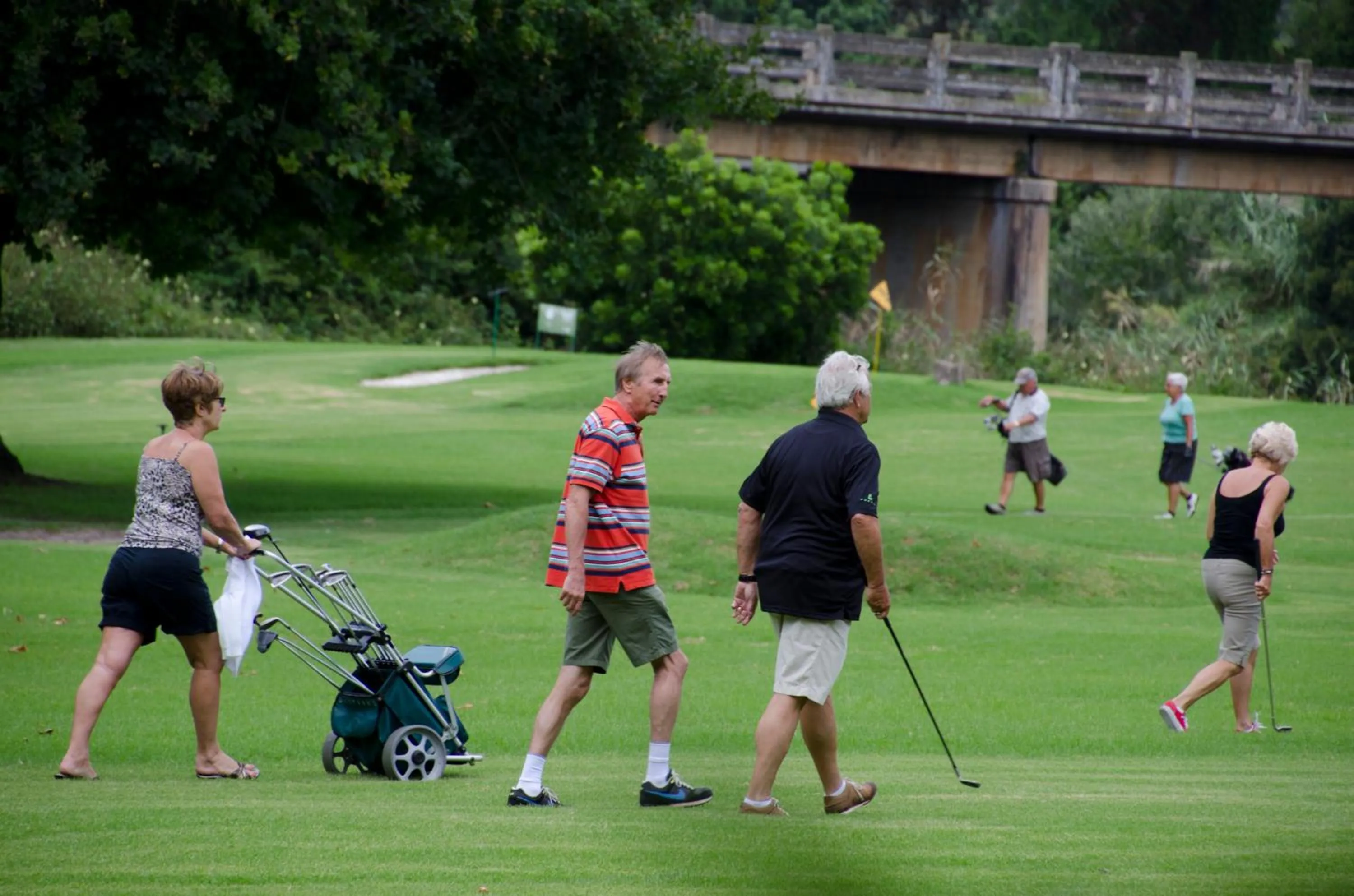 Summer in Blackwaters River Lodge, Knysna