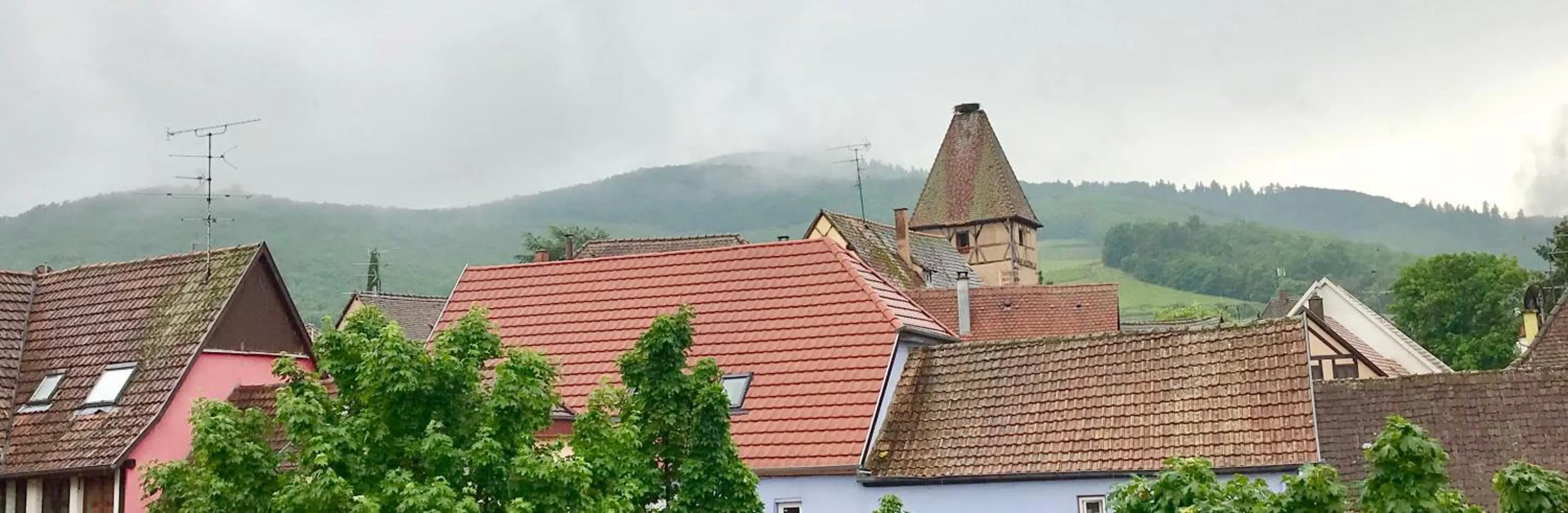 Mountain view in AUX DEUX CIGOGNES AMMERSCHWIHR