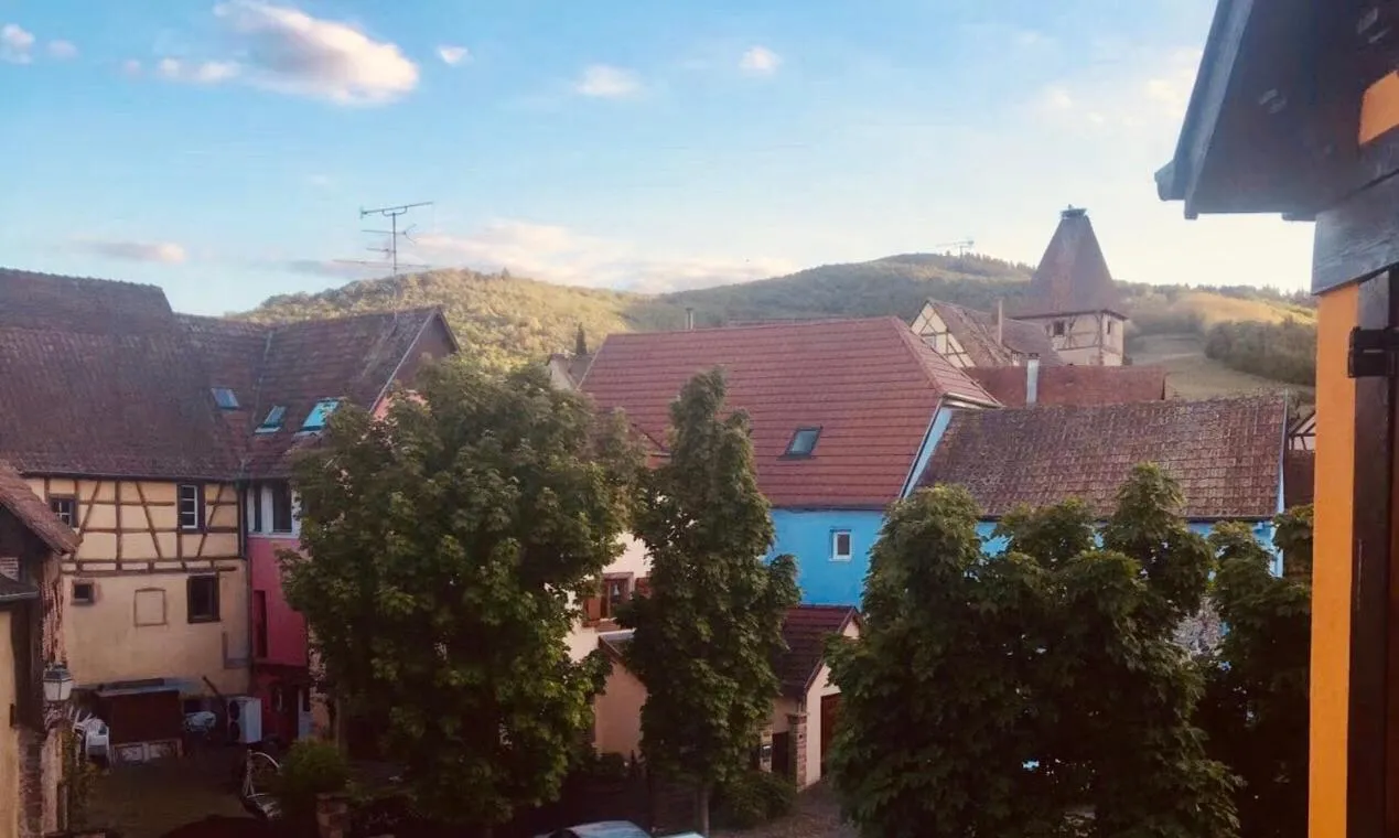 Mountain view in AUX DEUX CIGOGNES AMMERSCHWIHR