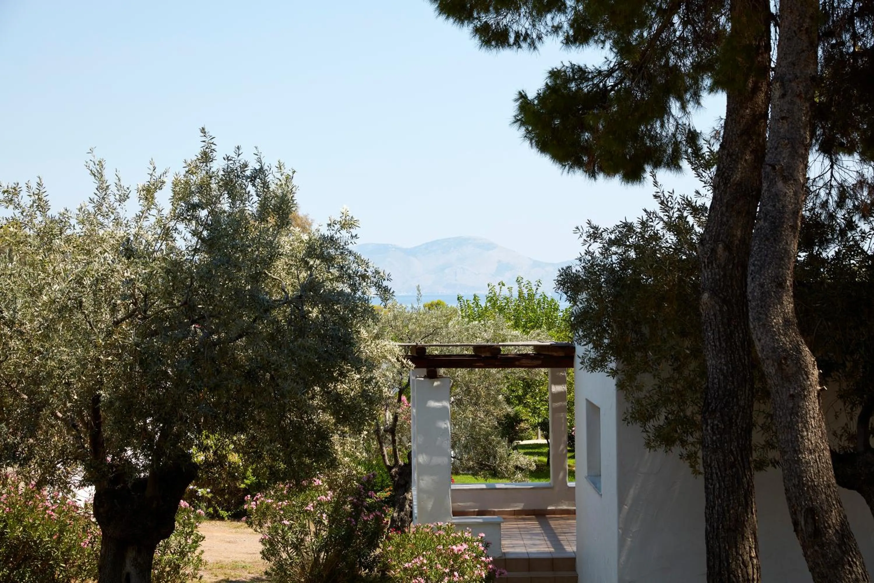 Garden in Hydra Beach Resort
