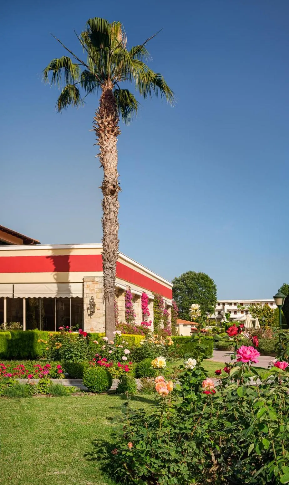 Garden in Aegean Melathron Thalasso Spa Hotel