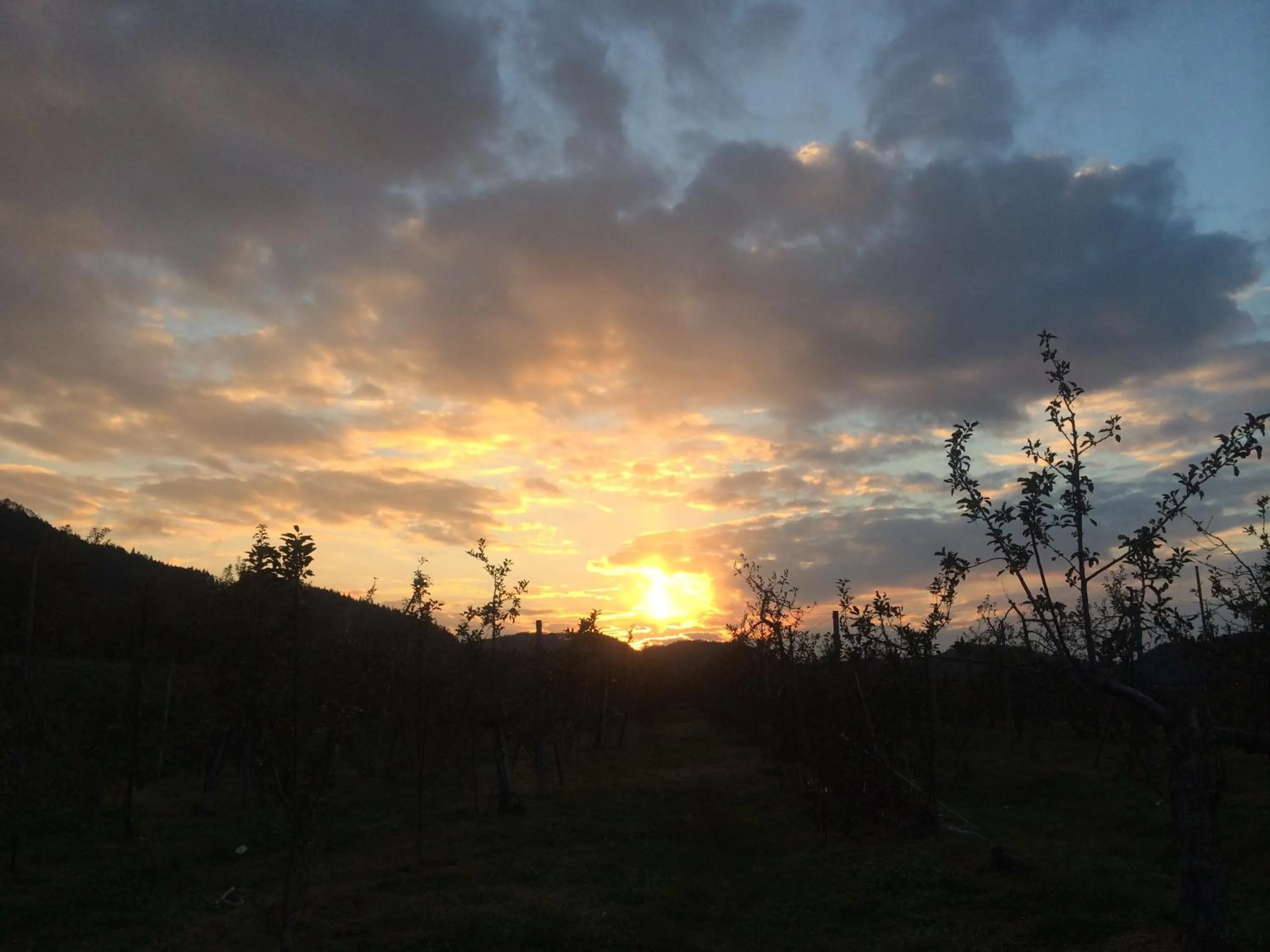 Sunset in Yudanaka Onsen Yamazakiya