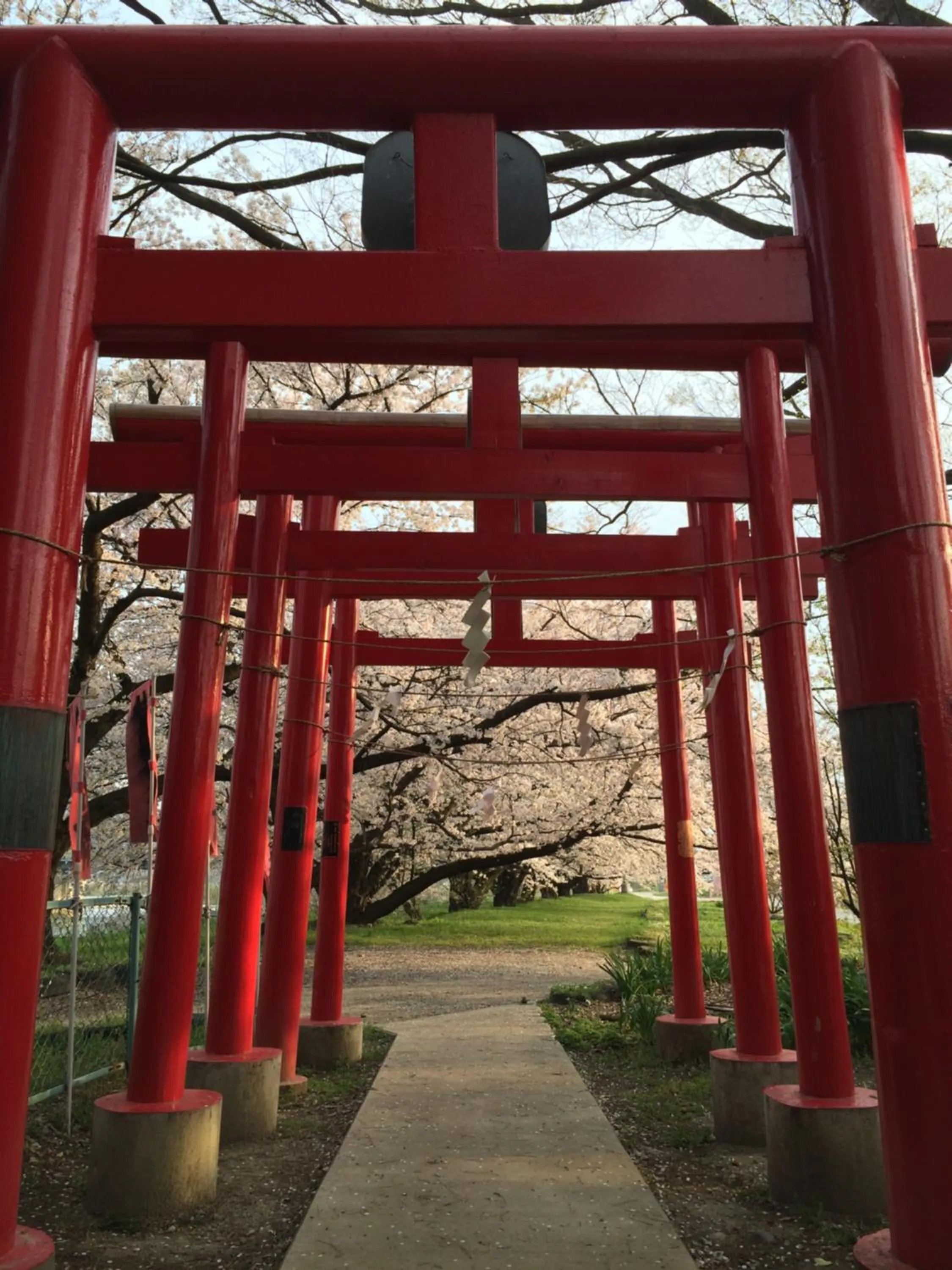 Yudanaka Onsen Yamazakiya