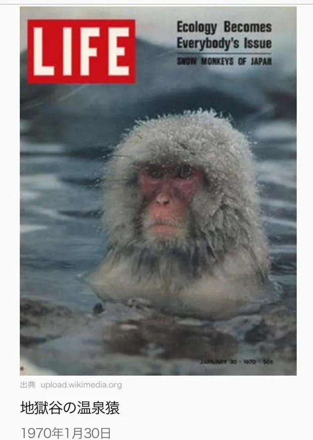 Yudanaka Onsen Yamazakiya