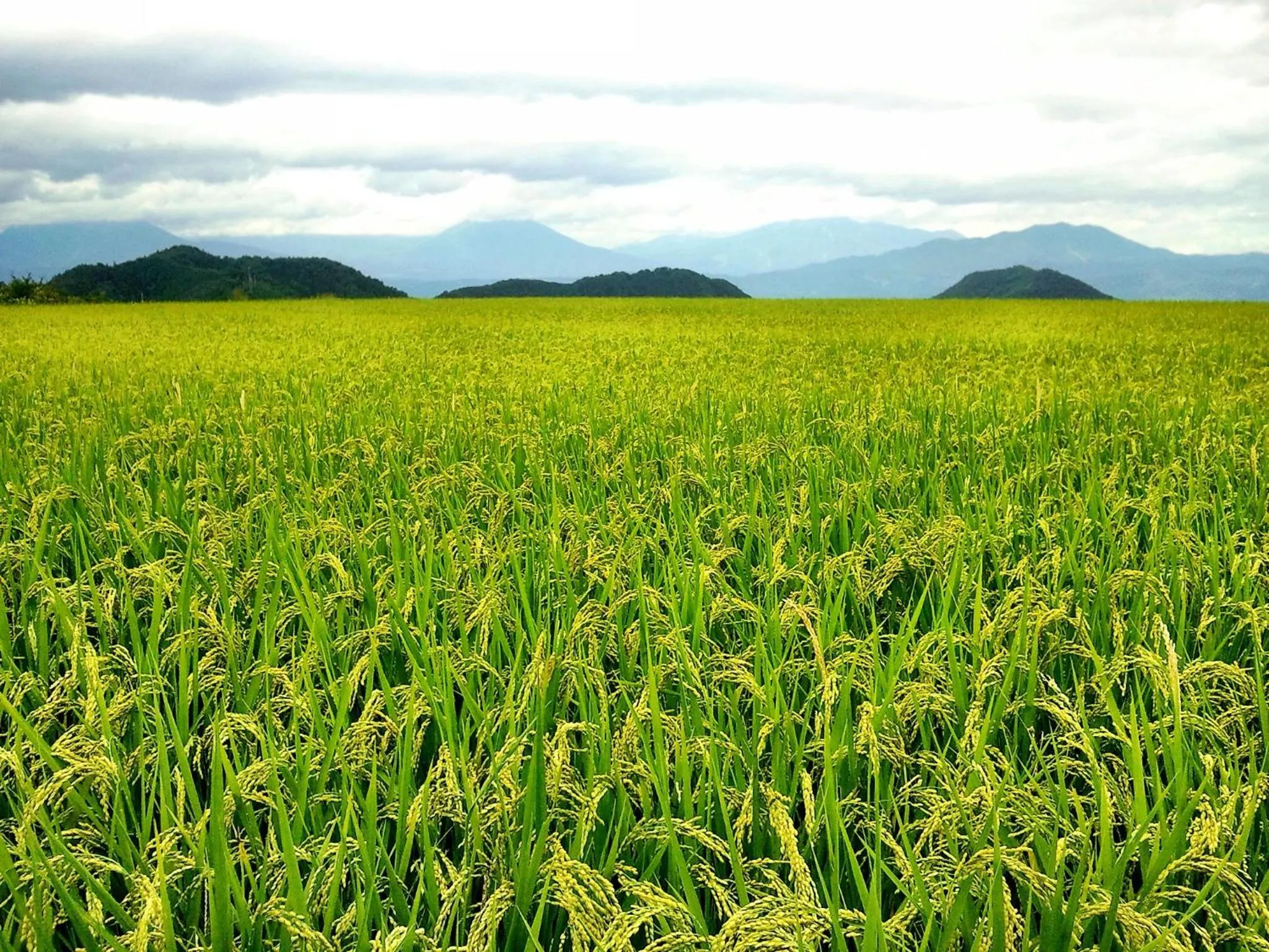 Autumn in Yudanaka Onsen Yamazakiya
